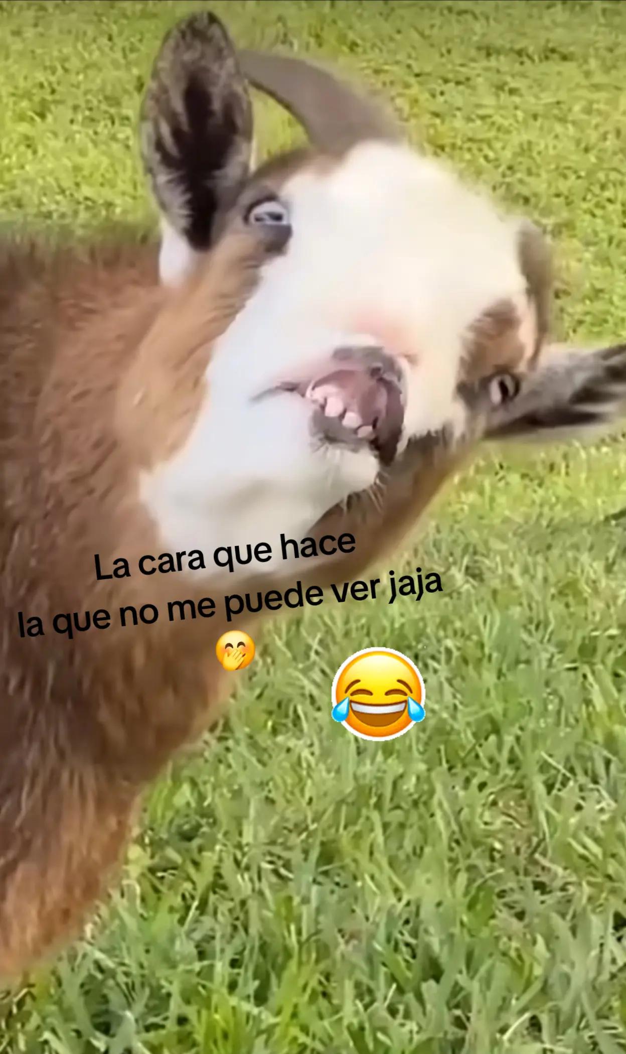 @🖤Claudia Treviño🖤