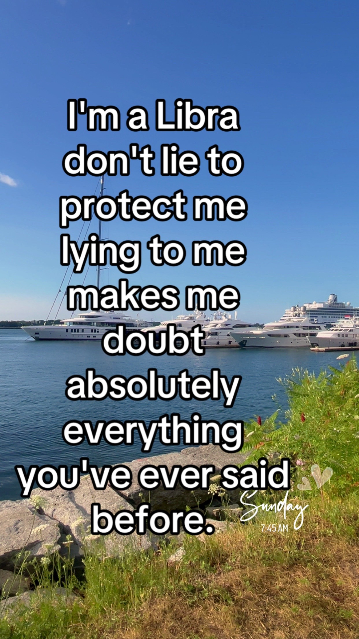 @Ms Ty
