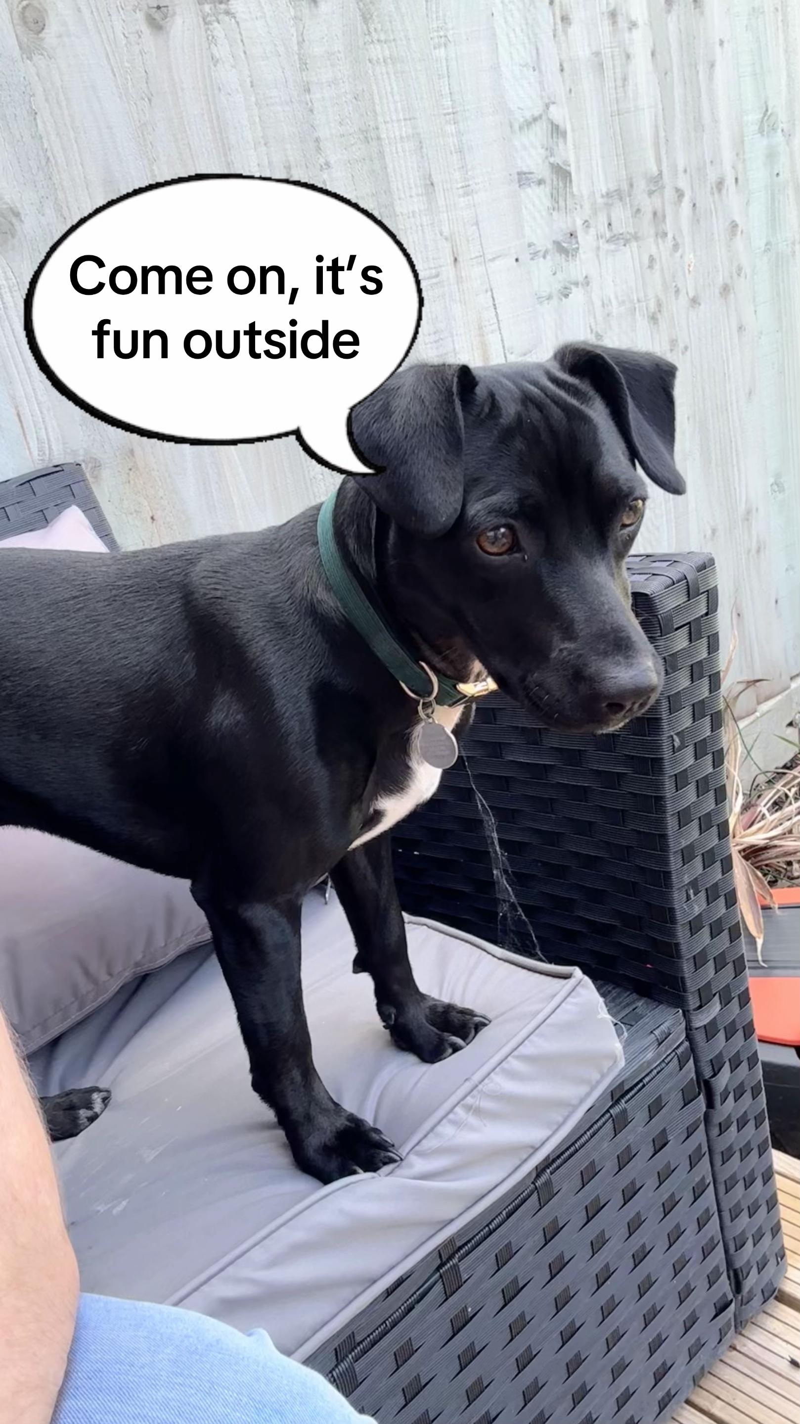 @StopImAlreadyDan