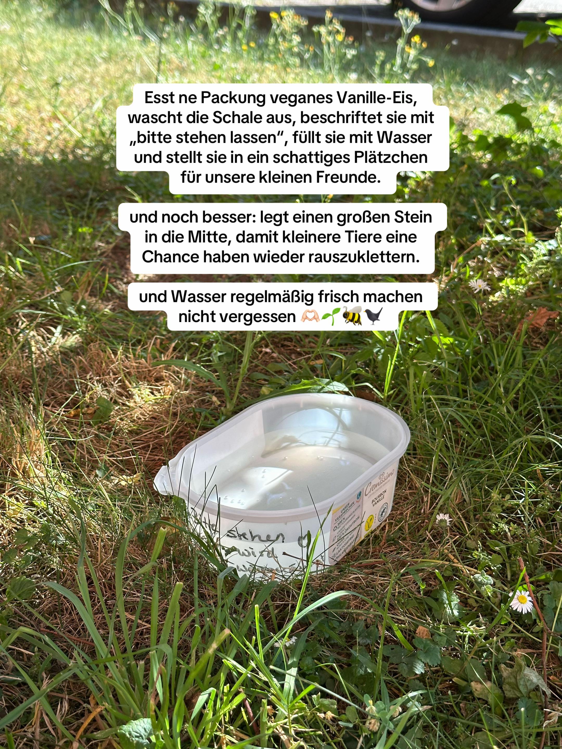 @Nicole 🌱🌼