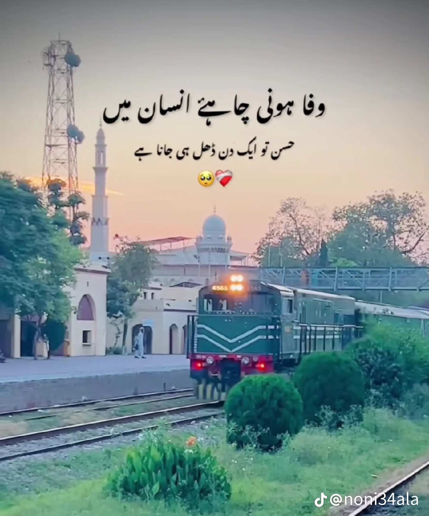 @علی حمزہ512
