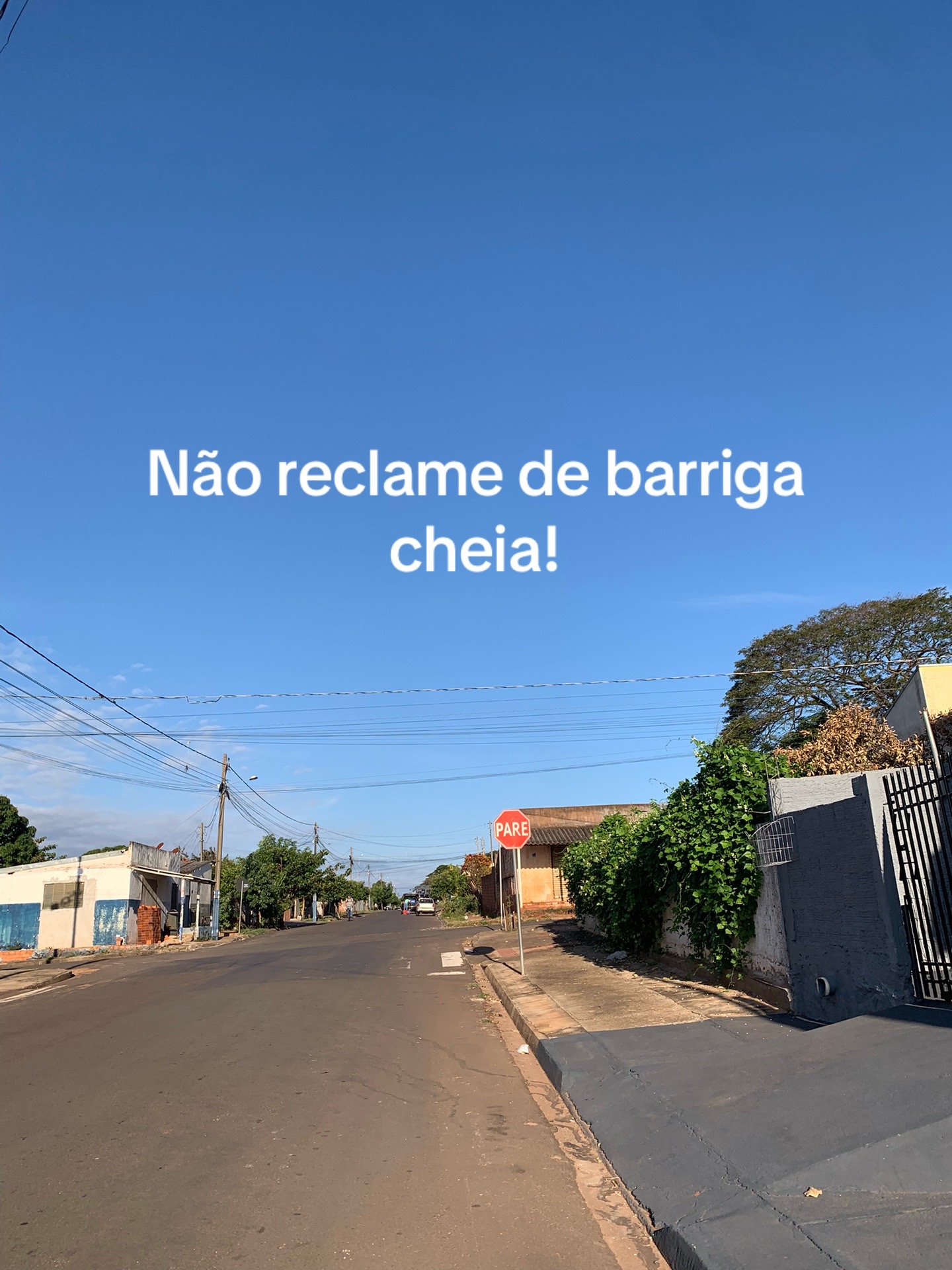 @ardengui01