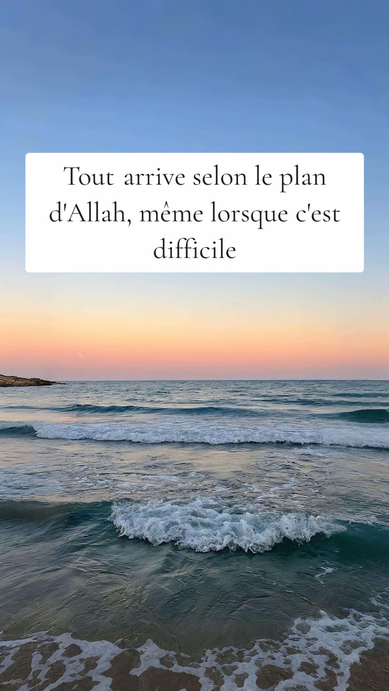 @IslamAuQuotidien