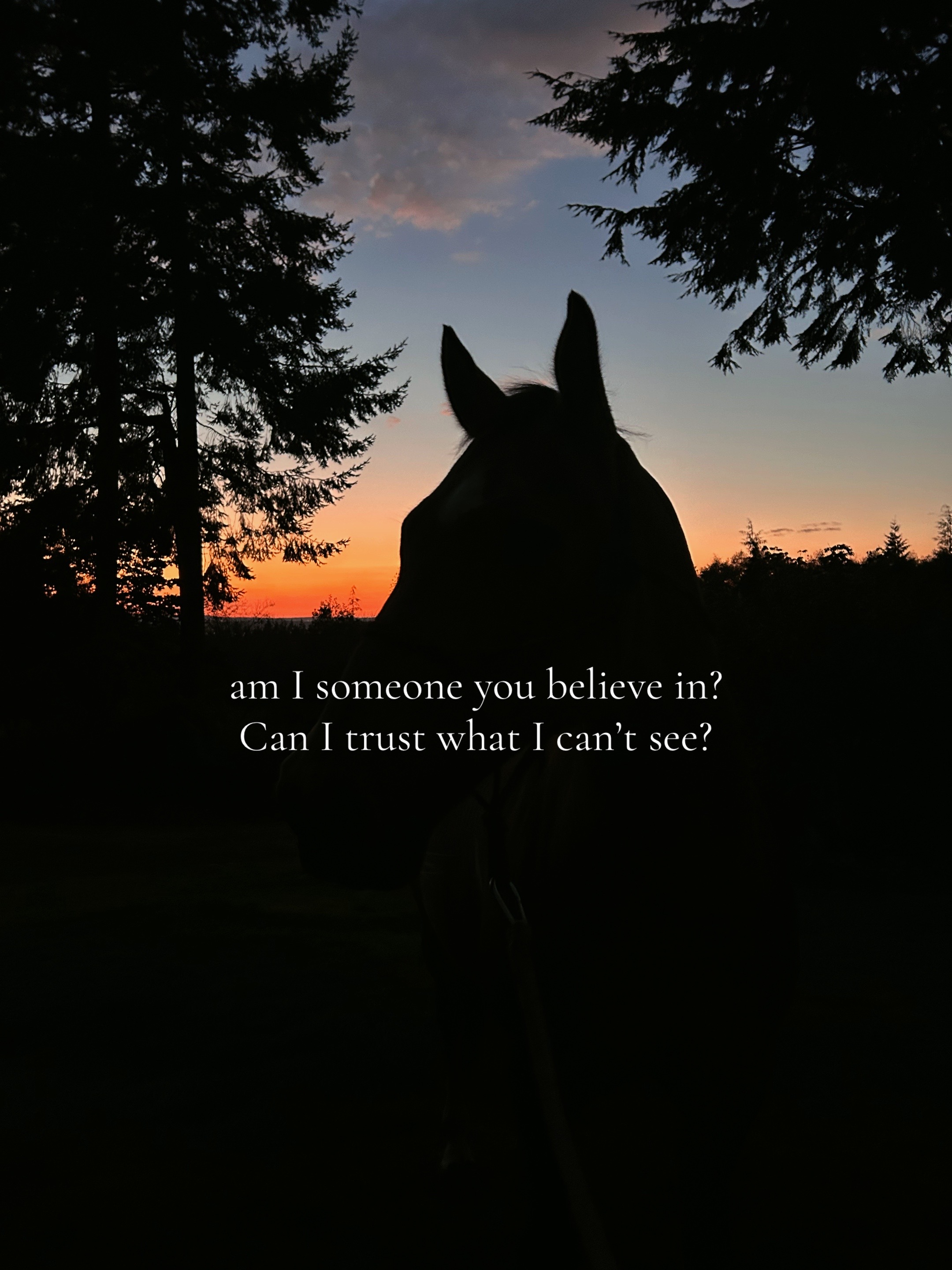 @Viv&rsquo;s Ponies