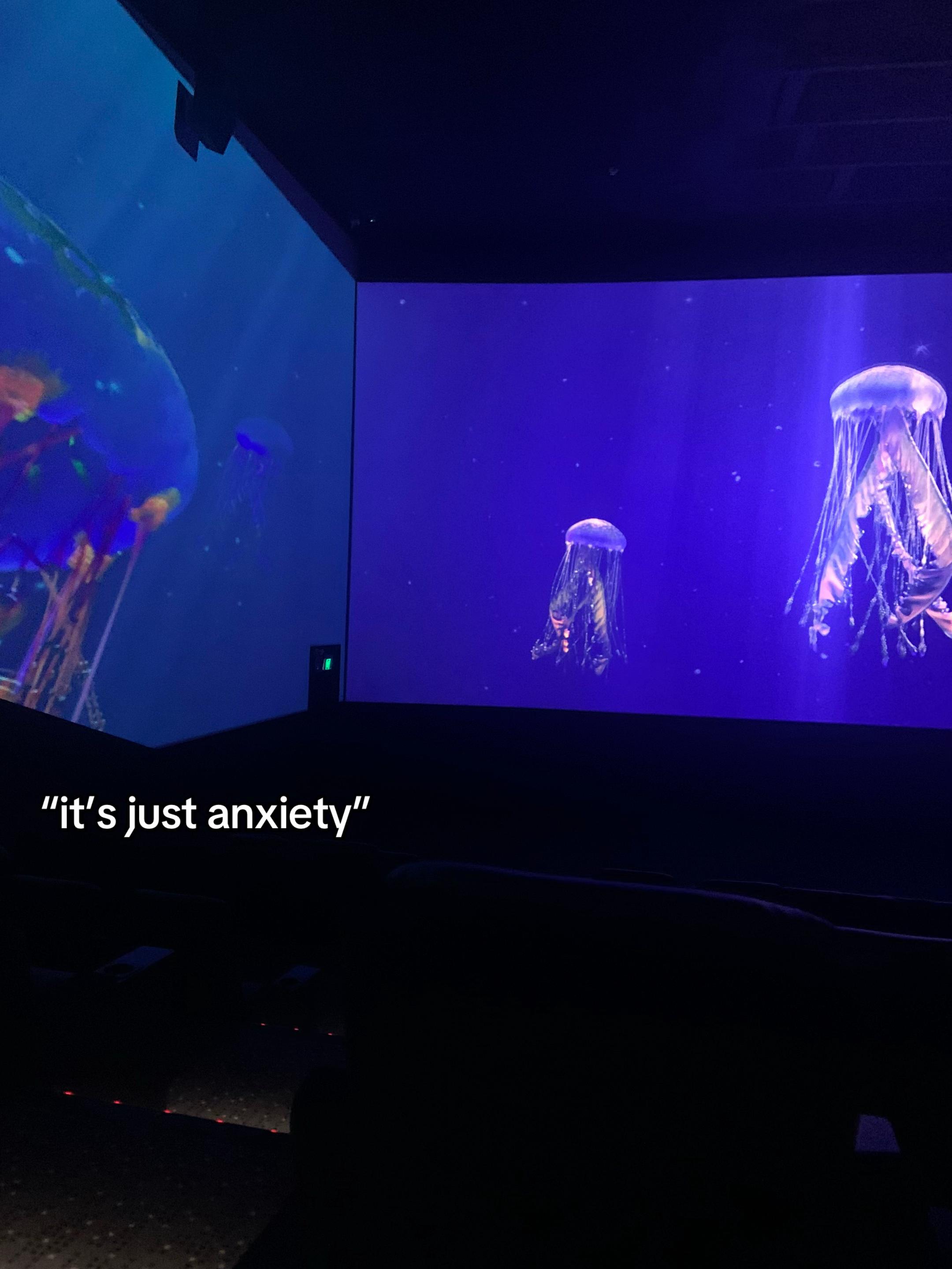 @𝔀𝓲𝓵𝓵𝓸𝔀❀