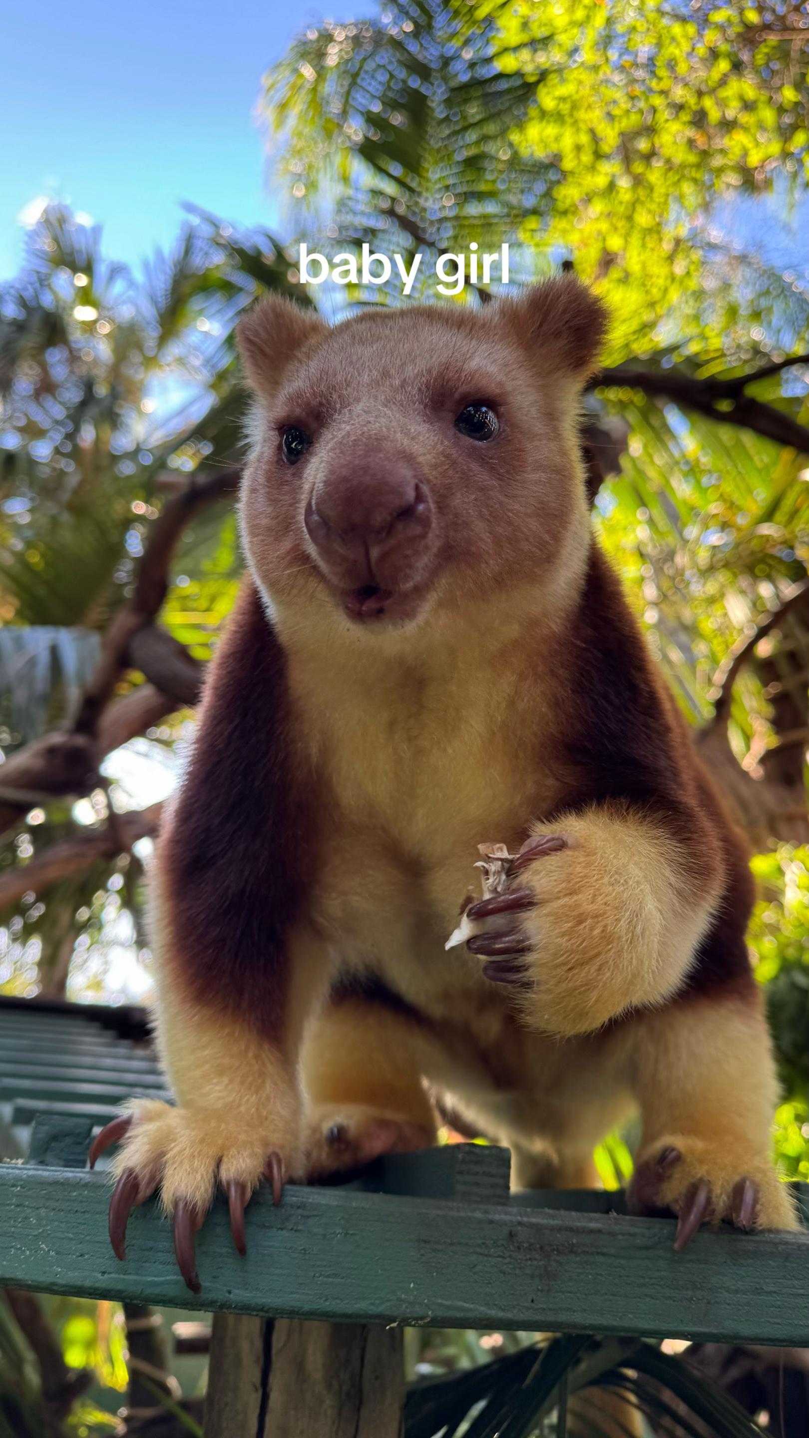 @Perth Zoo