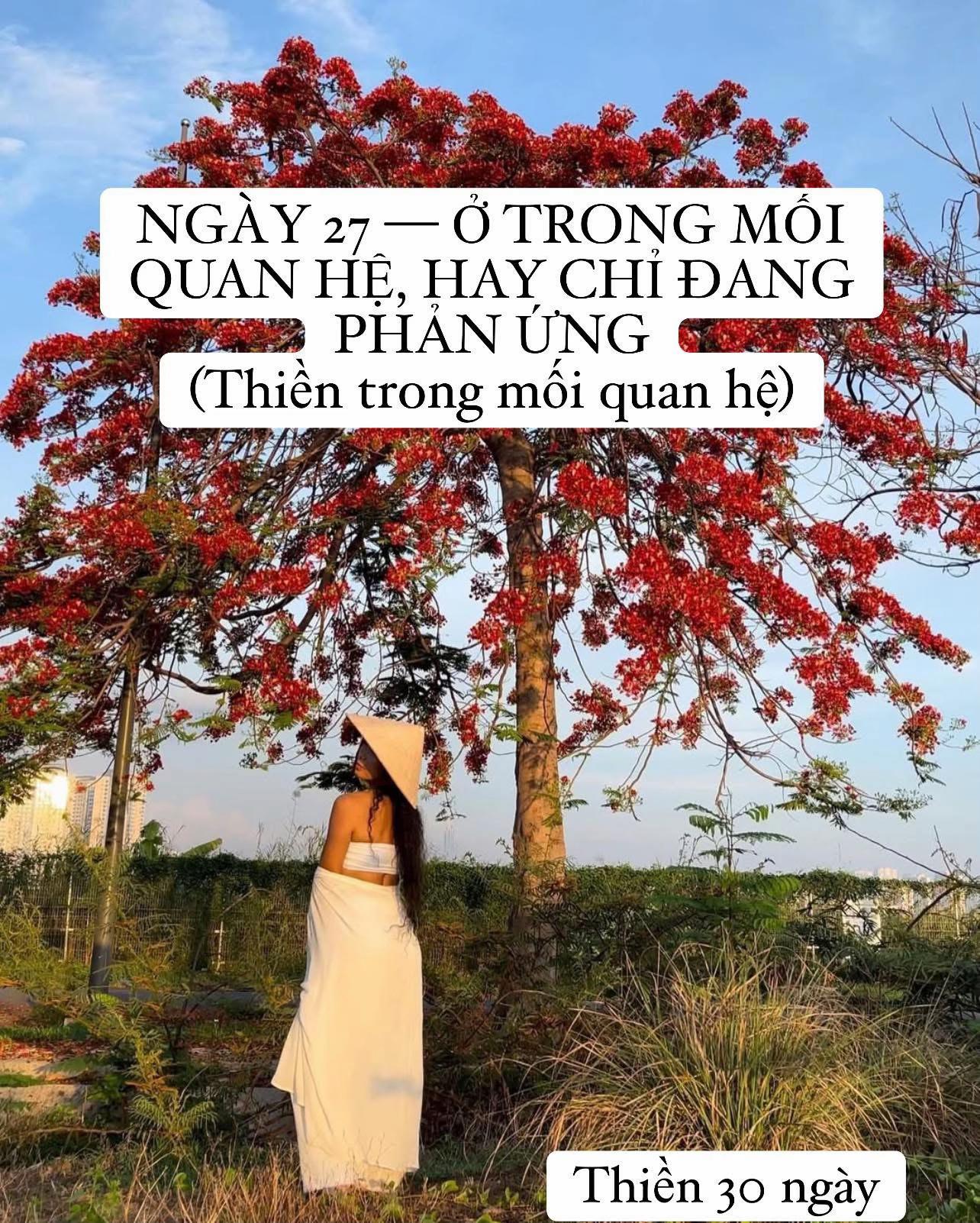 @buihoangbichtho
