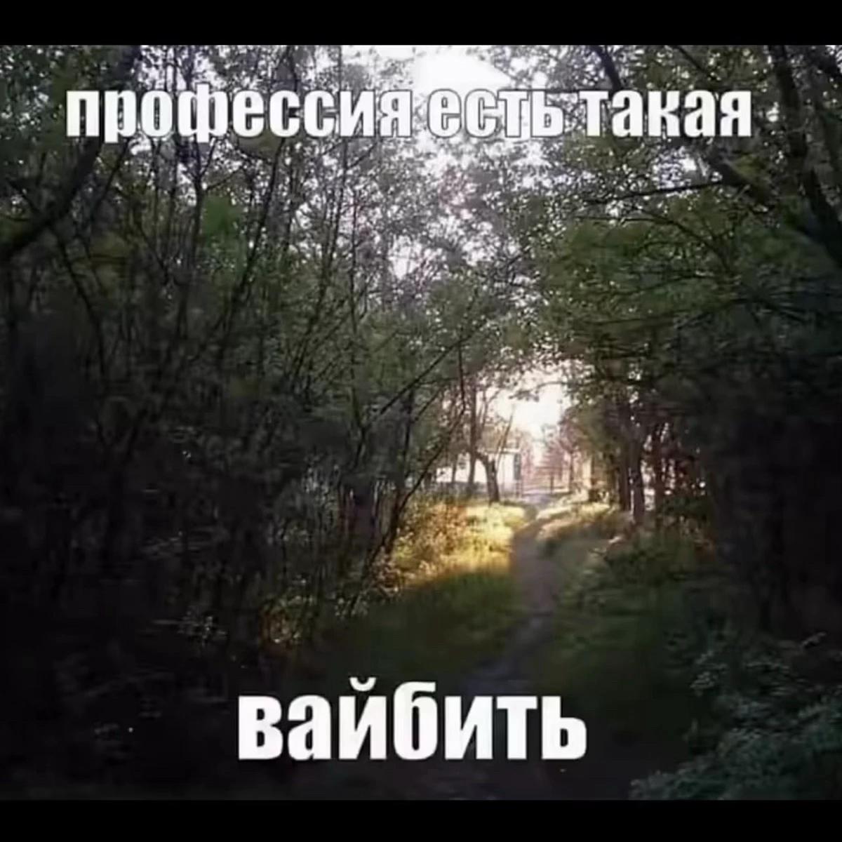 @rinari🐾