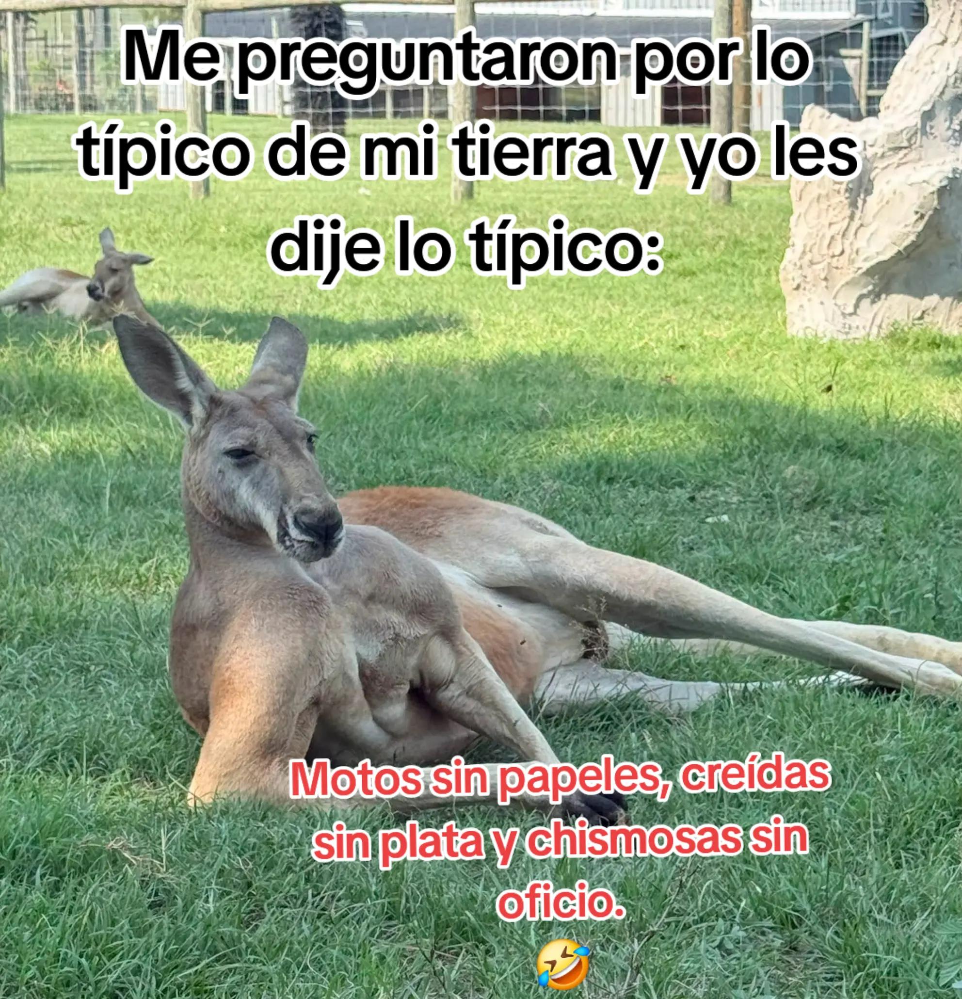 @ingridm