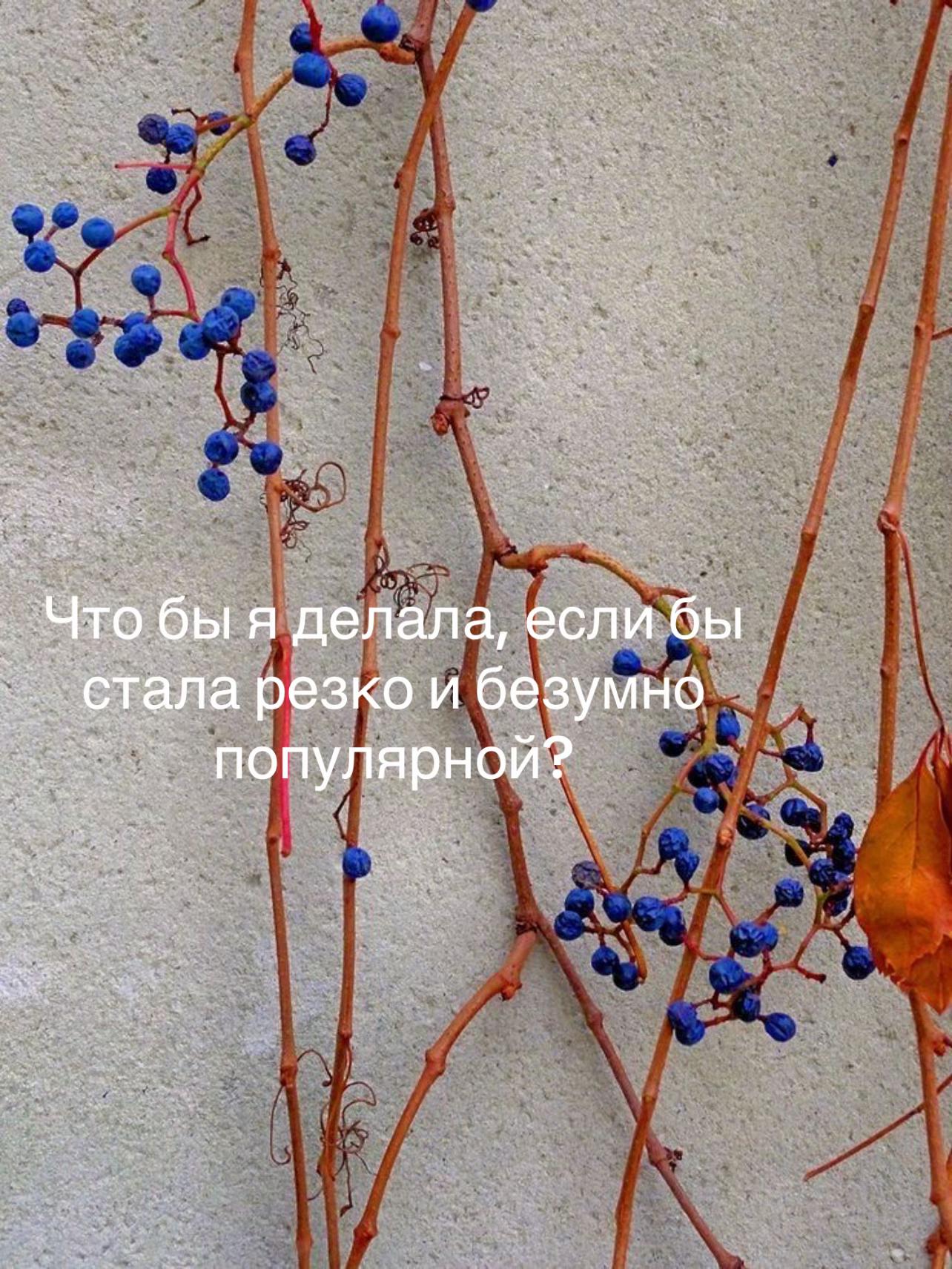 @Алло,Даша?🌊🍵🗣️📖📽️🌾