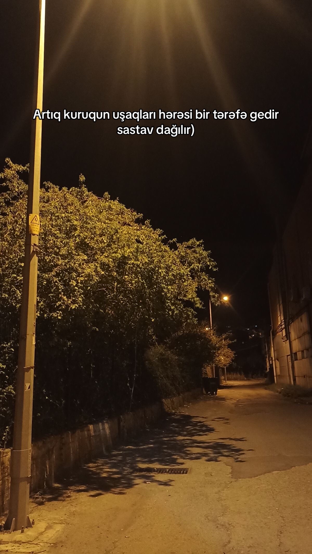 @༺𝕃𝔻𝕌༺