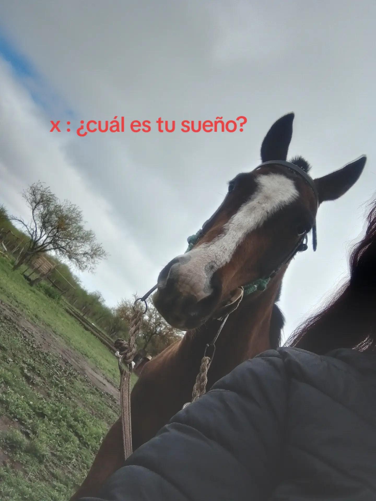 @MARIII V_ M