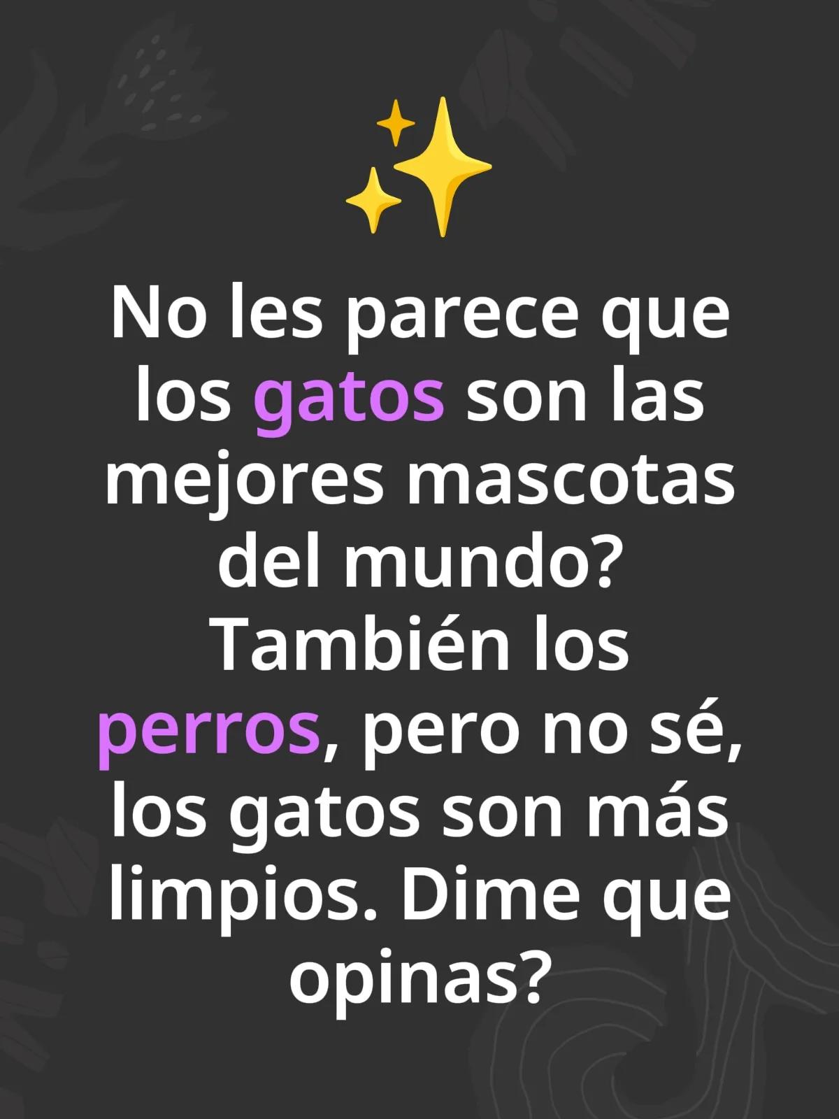 @CatPetCool