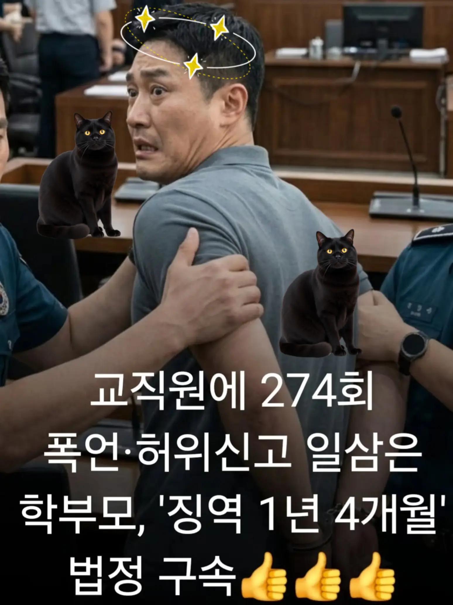 @🌺시라소니[본]🌺