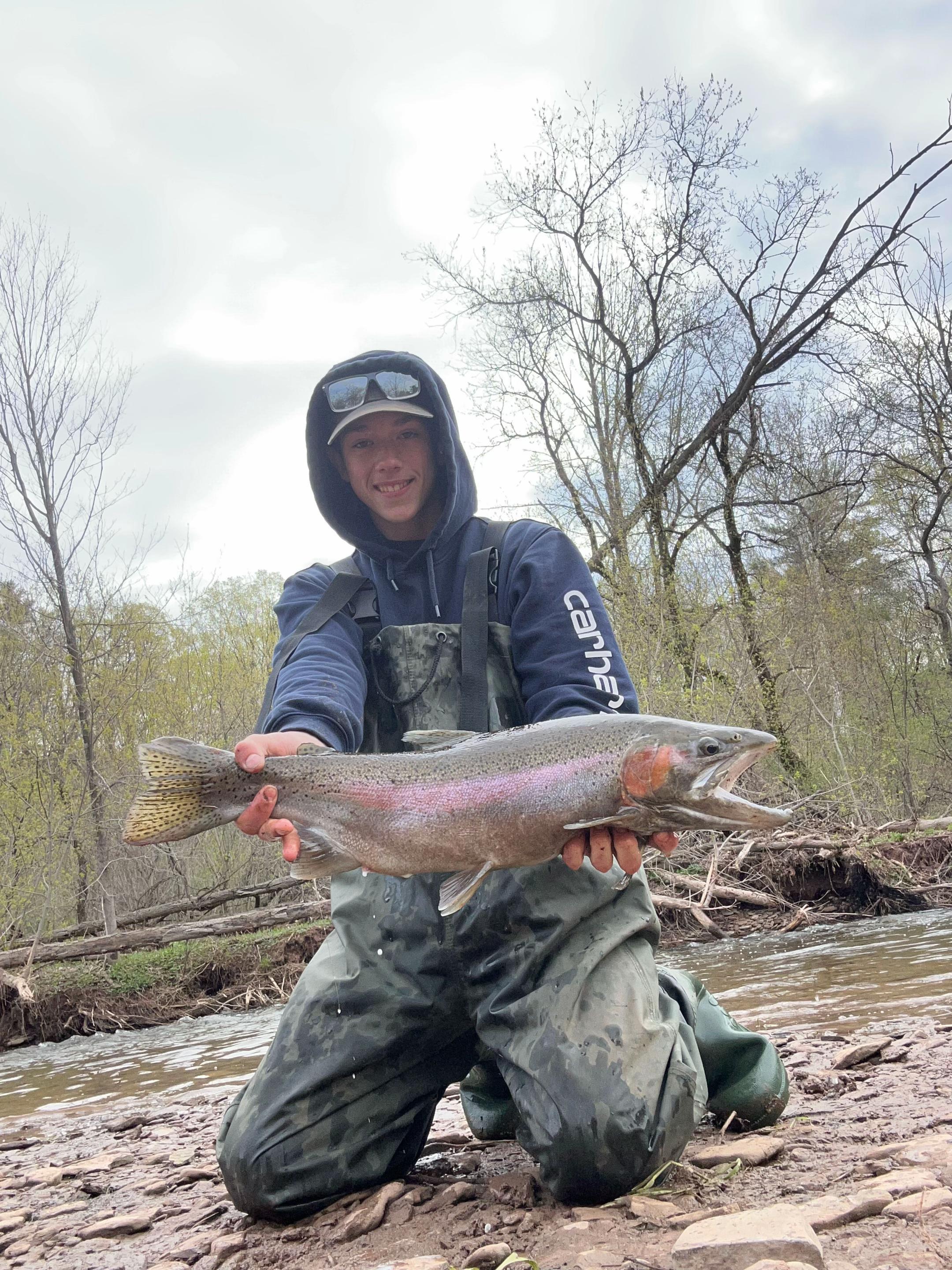@Loganthefish🐟