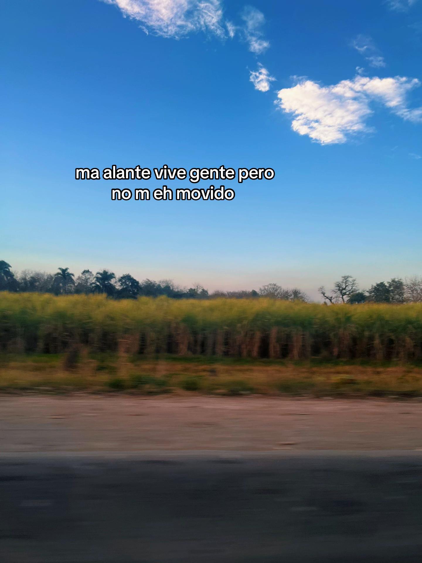 @comparttidos2