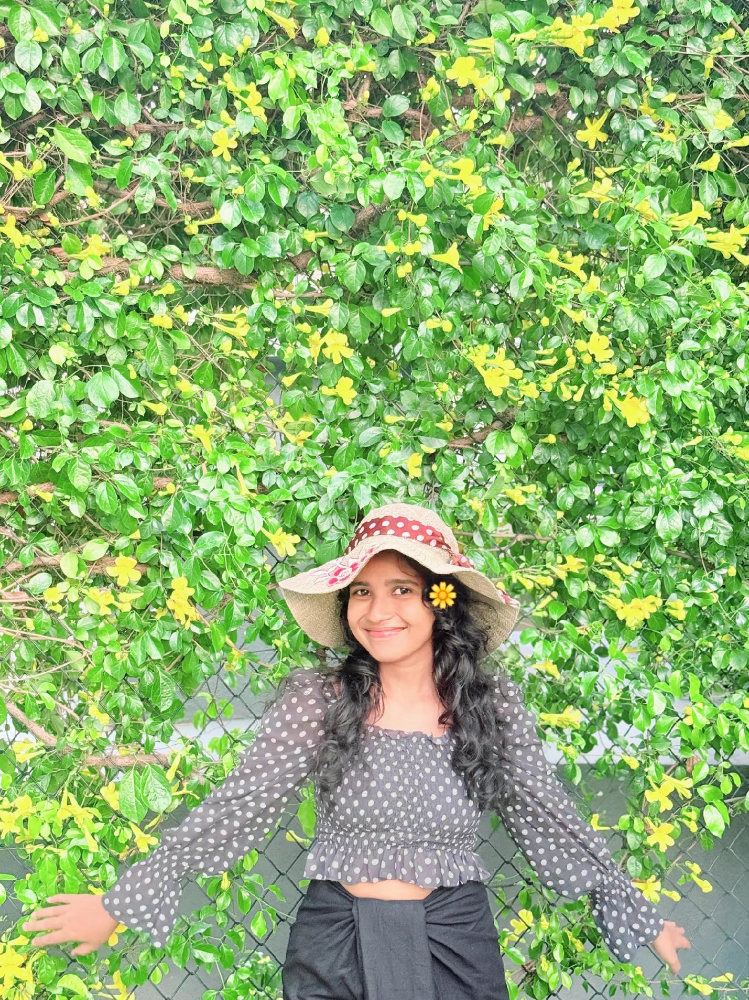@Theekshani Pramodya