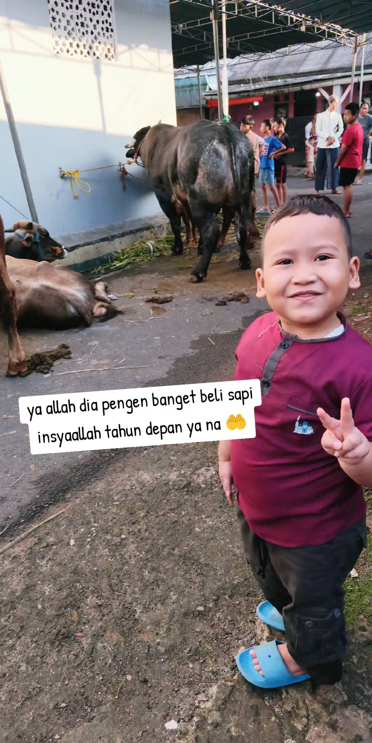 @REZ STOR