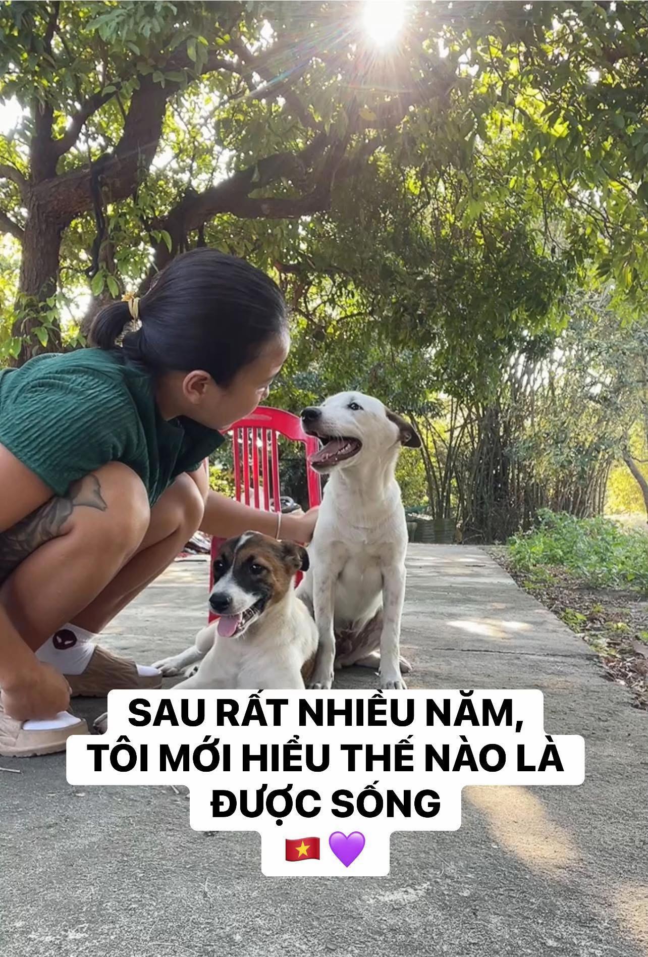 @buihoangbichtho