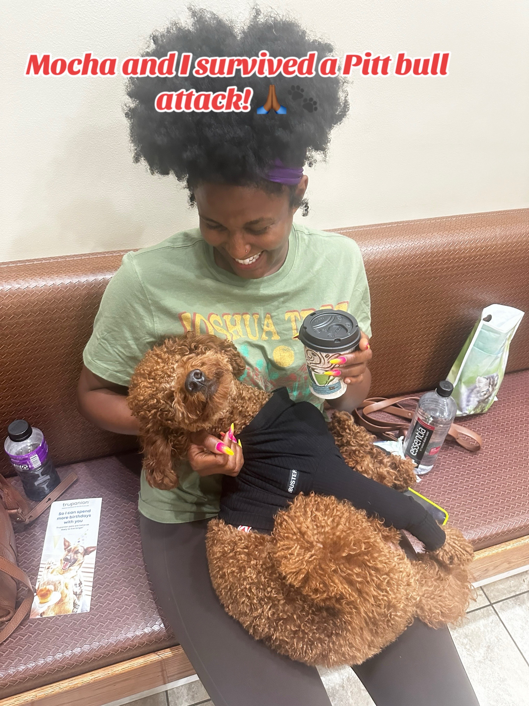 @Mocha | Mini Goldendoodle 🐾