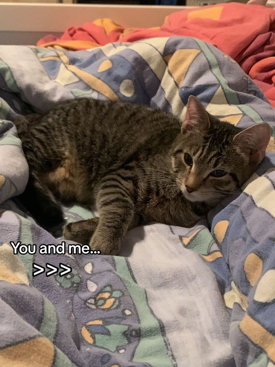 @❤️🧸