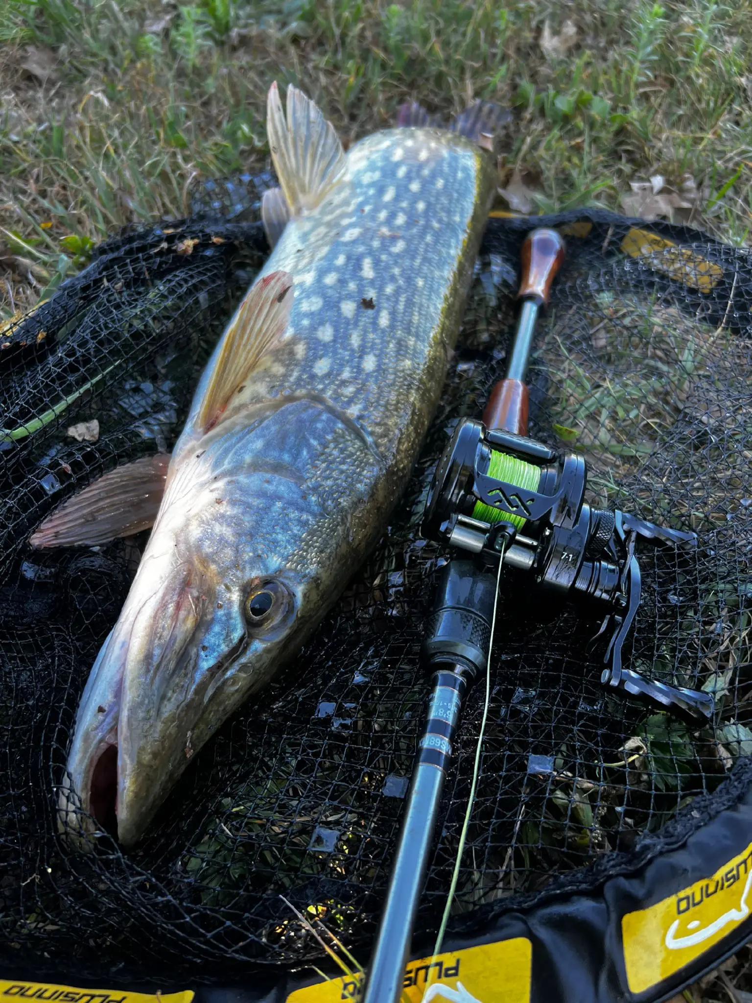 @EB FISHING EUROPE