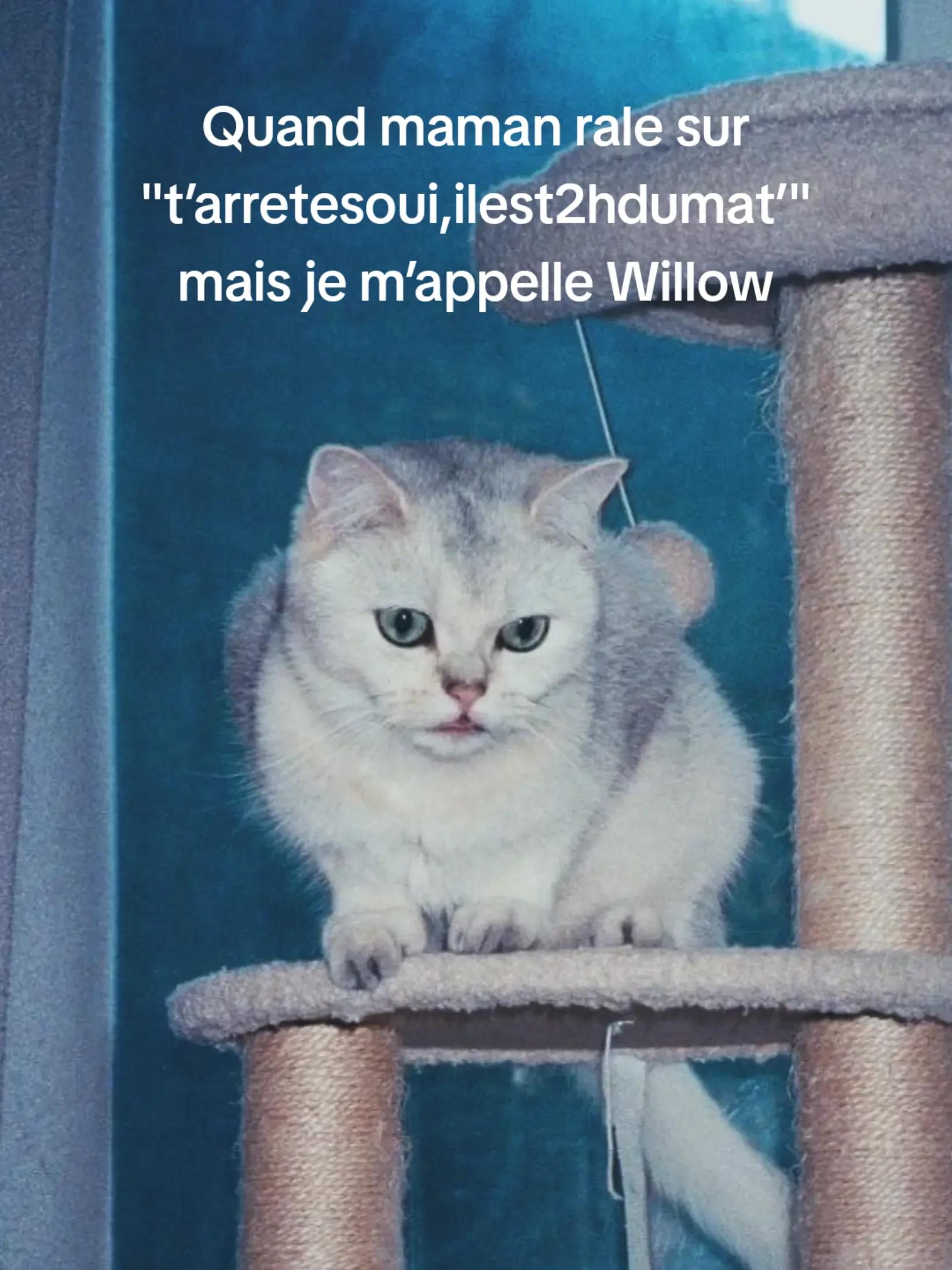 @CAMCAM