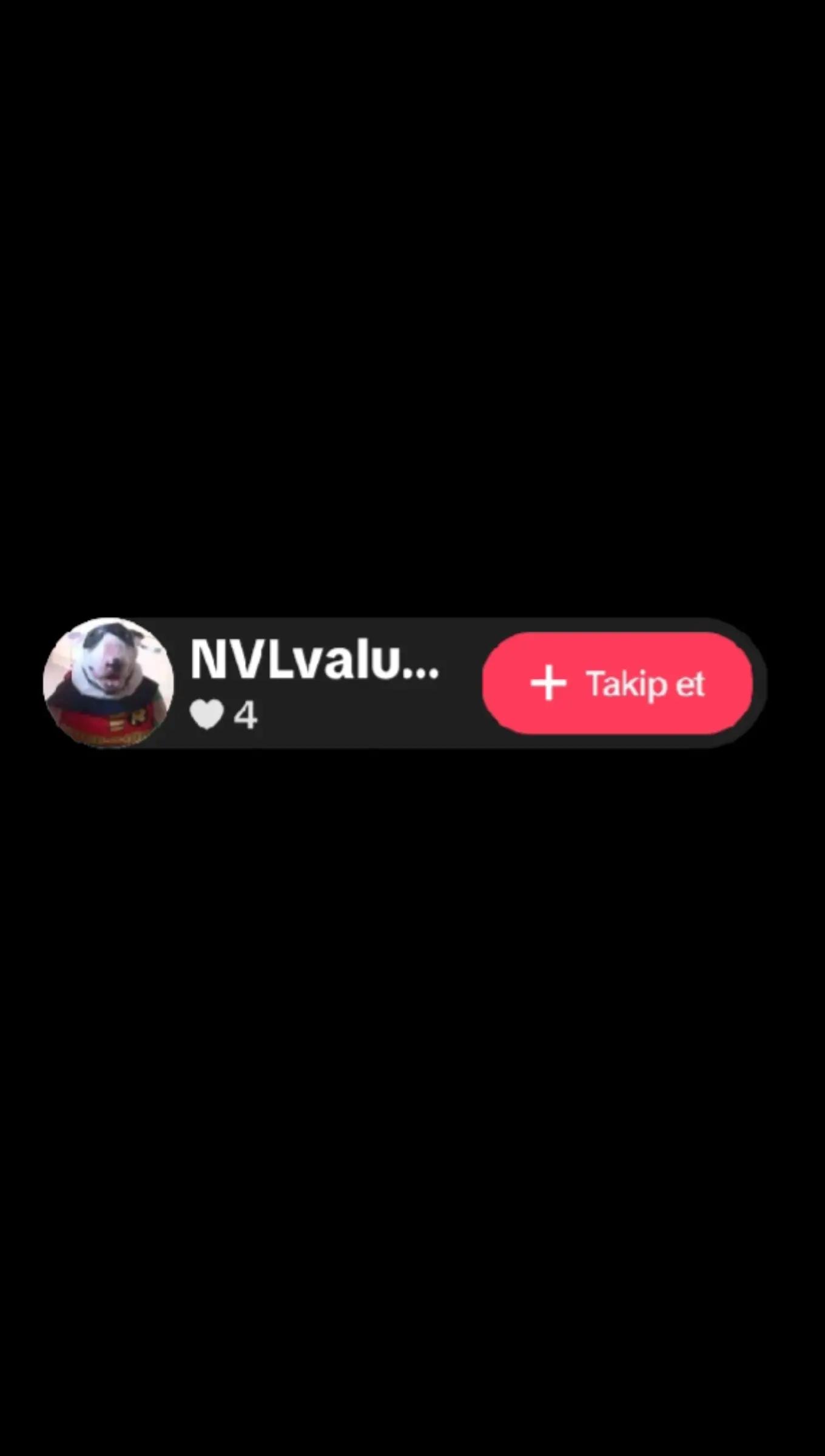 @YalnızKurtTR