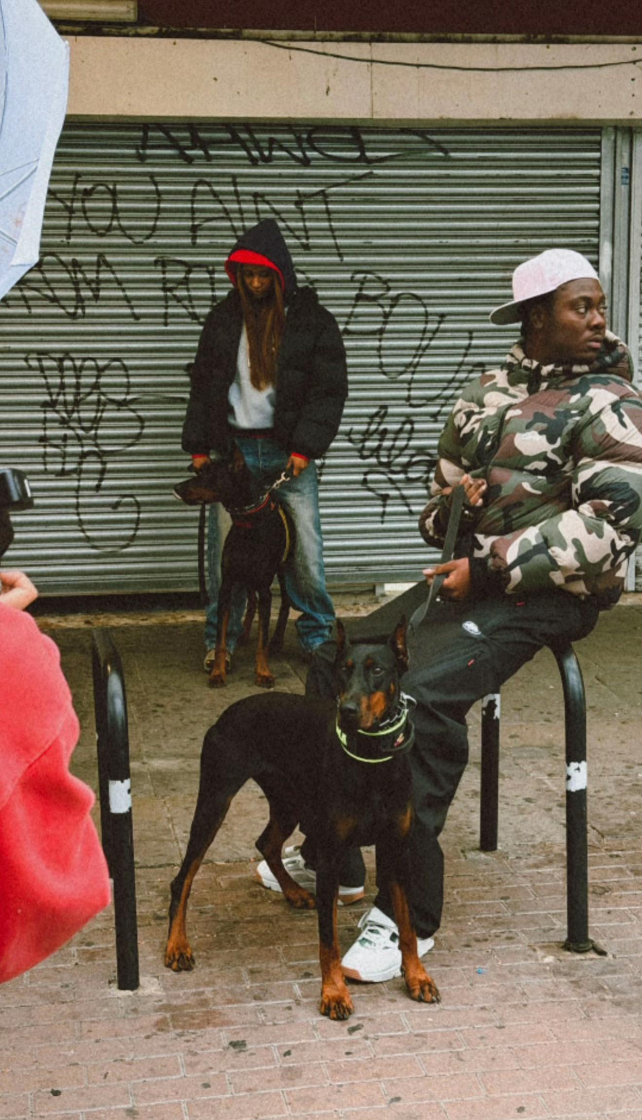 @protectiondobermanns