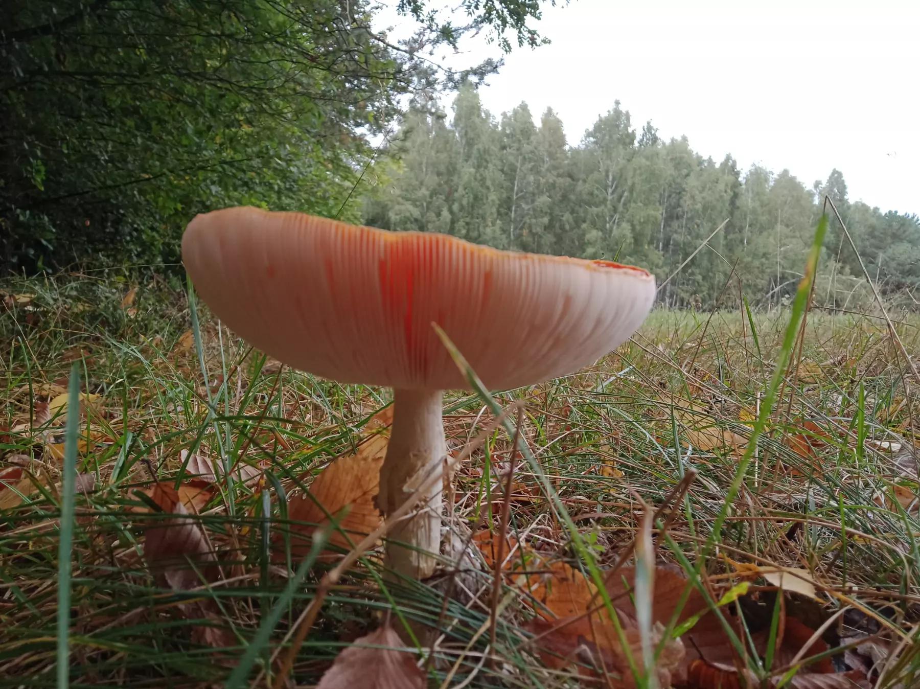 @Jaskółeczka 💫💫💫💫