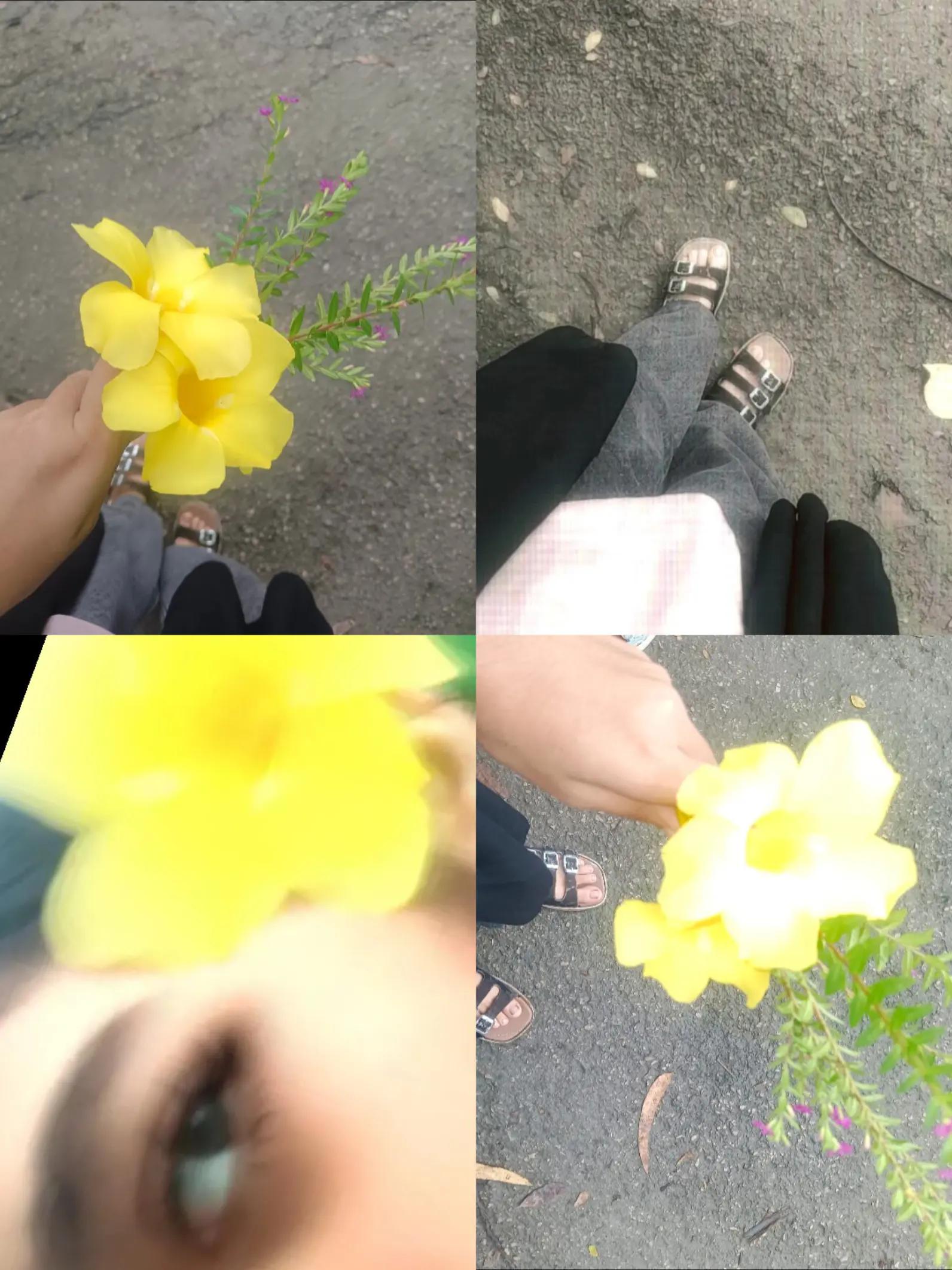 @👀... JINIYA... 🎀