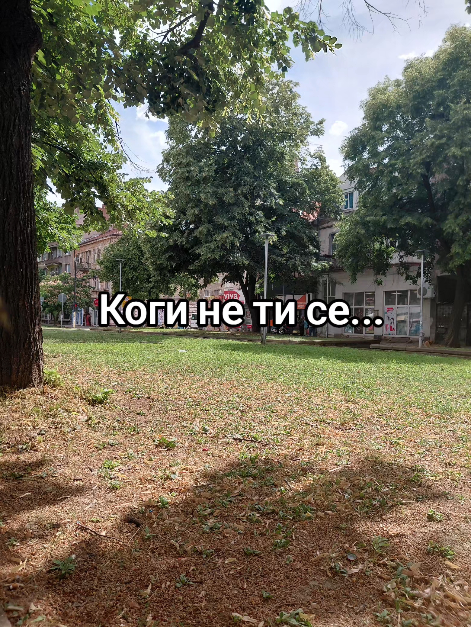 @💥Georgiev_07💥