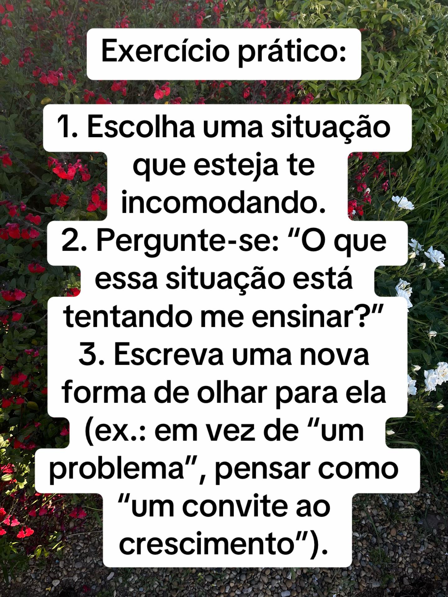 @Vanessa E. Santos | Terapeuta