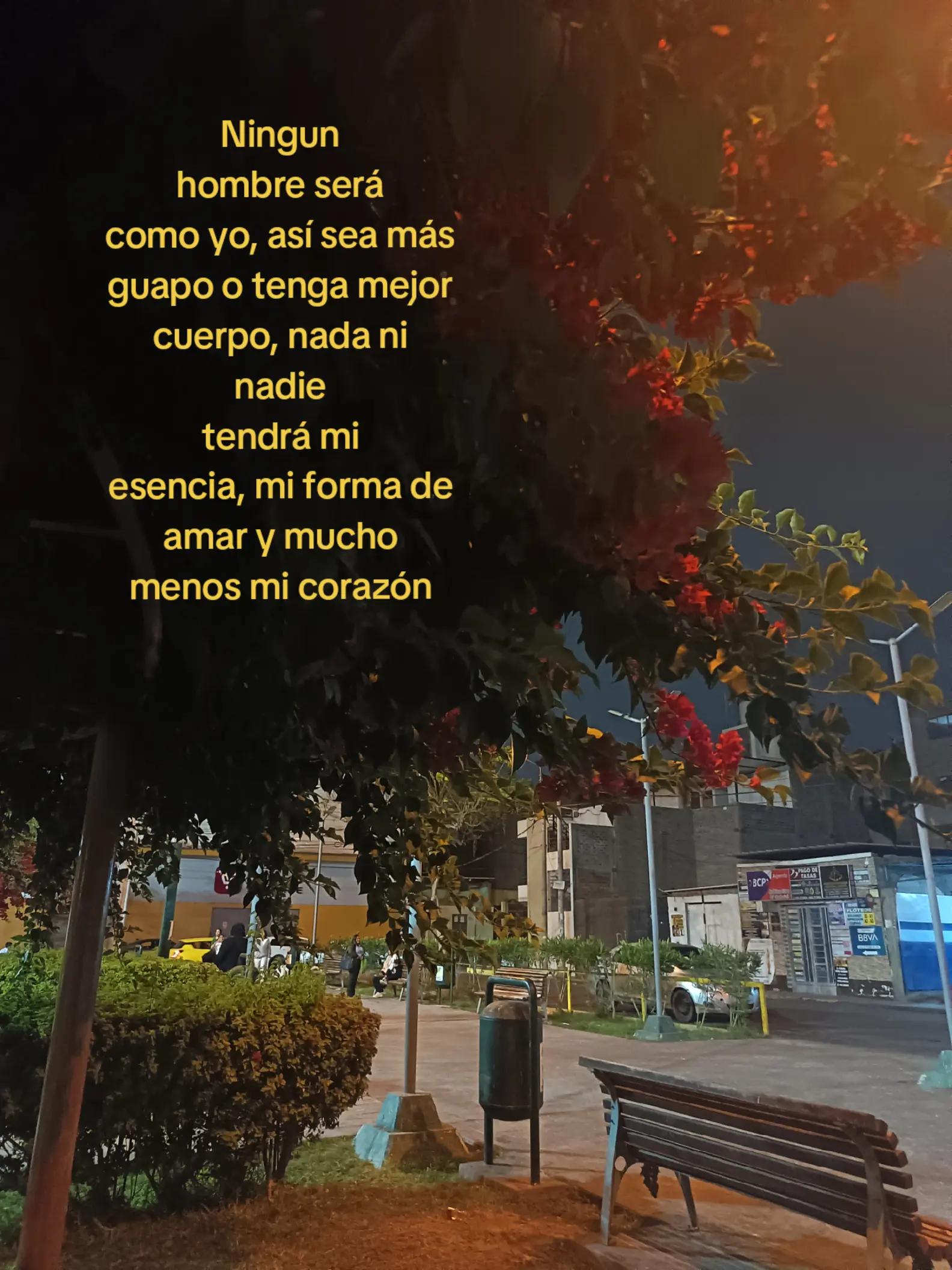 @𝖊.𝖋𝖗𝖆𝖓𝖓𝖐_𝟑𝟎𓆰𓆪