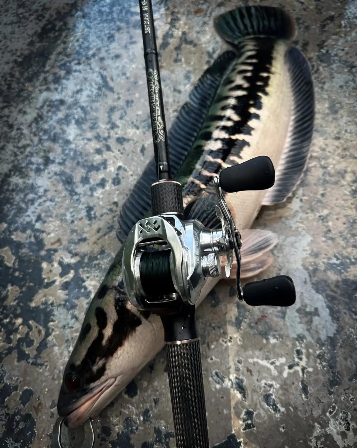 @EB FISHING EUROPE