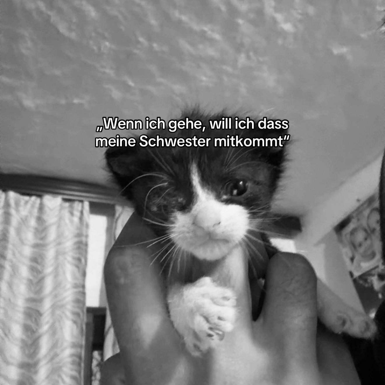 @natürlich patrik