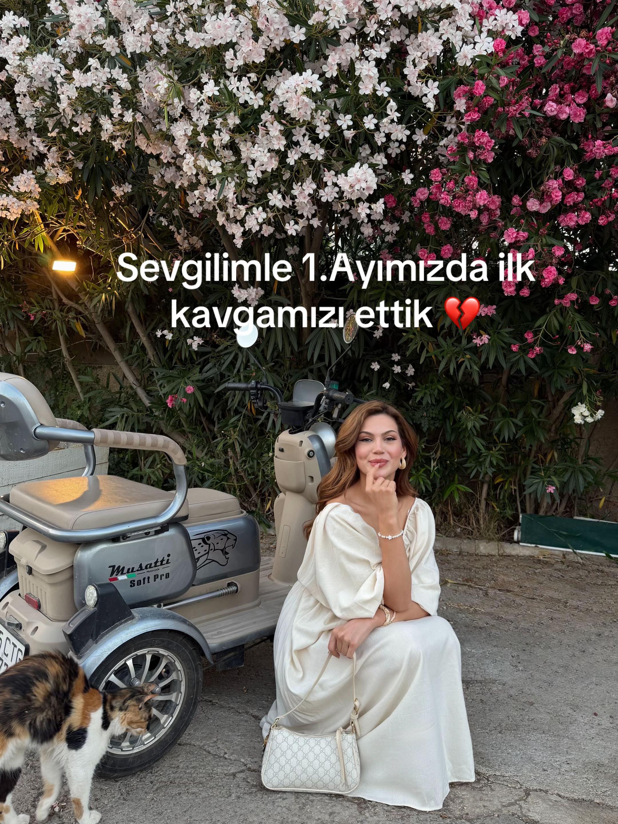 @Ayla