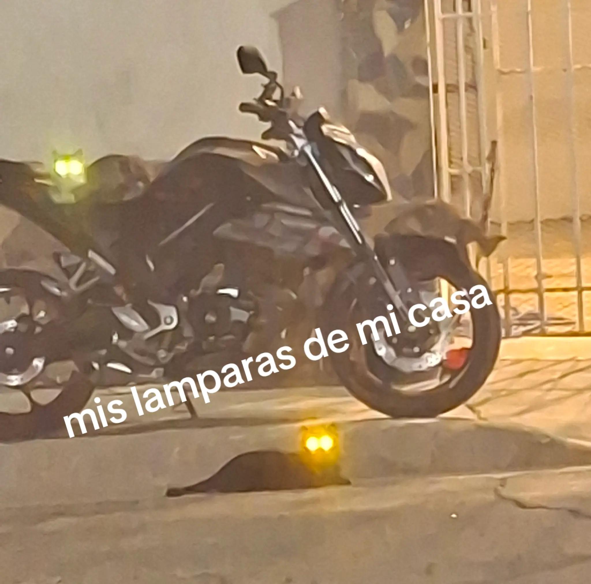 @Isabel Hernández