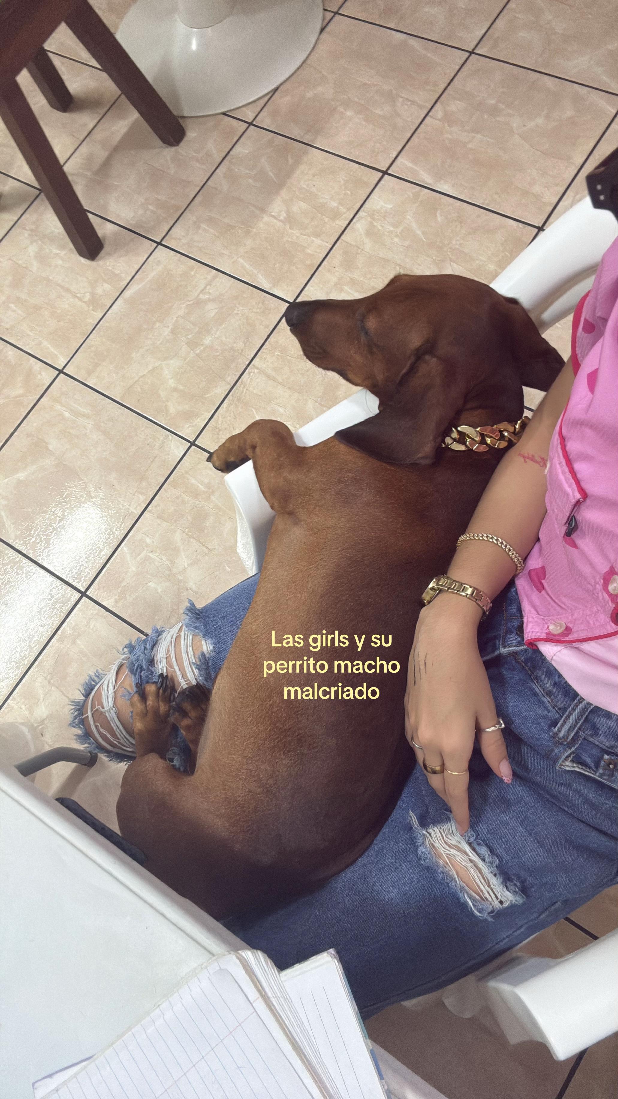 @Adina Fallas