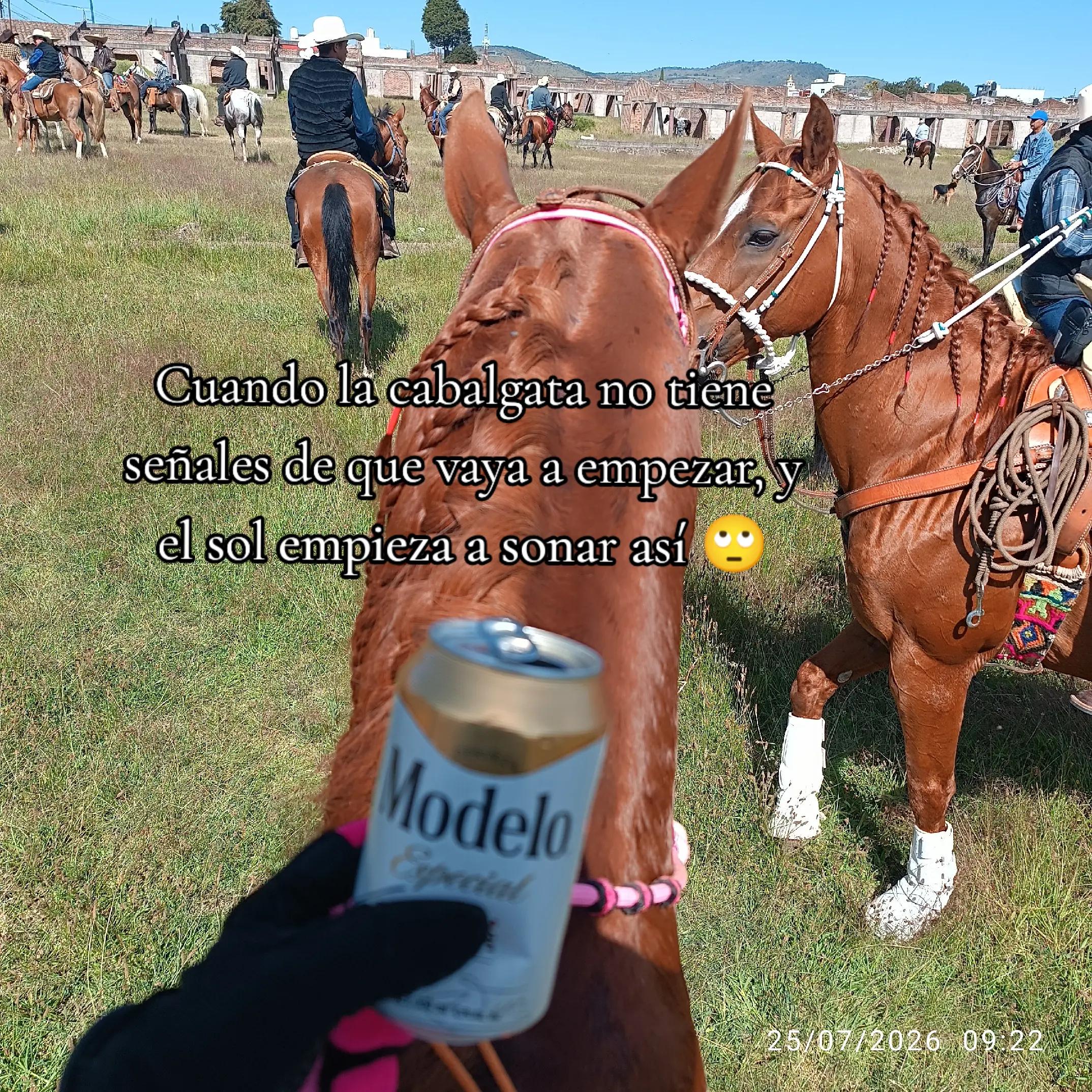 @🌸Yess castilla🌸