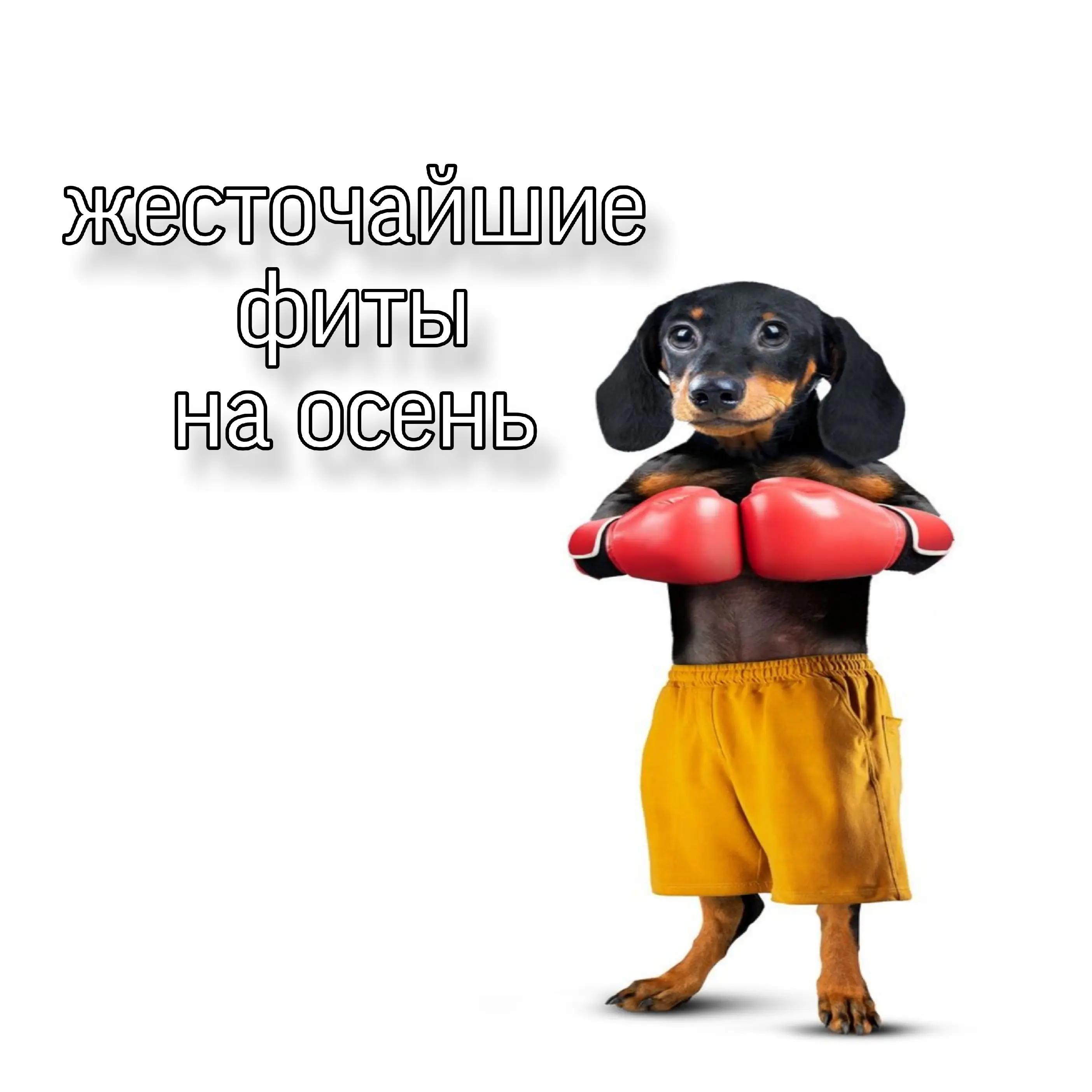 @tg:blag0o0