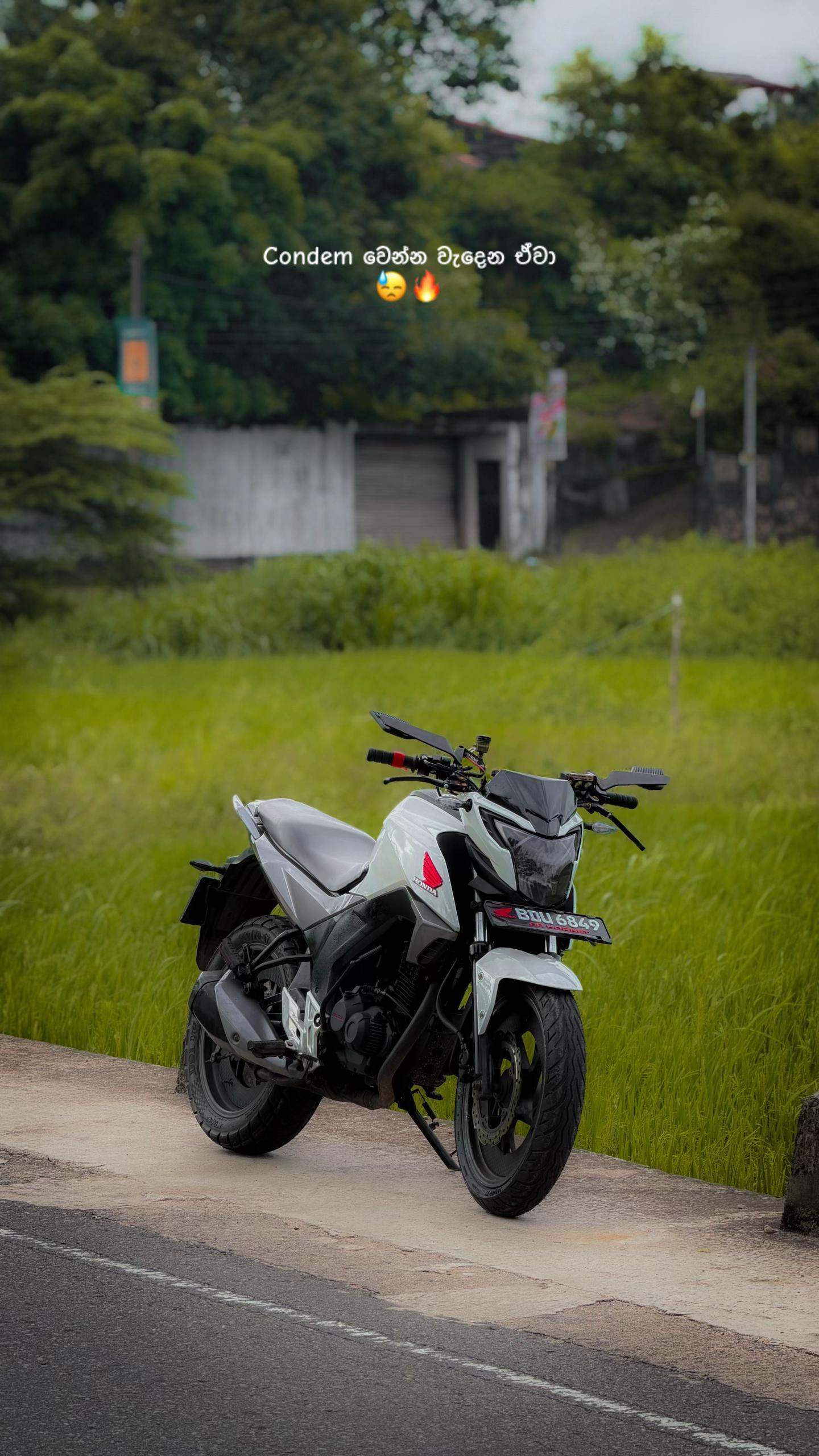 @ラ ヴ ォ ド 🇦🇱