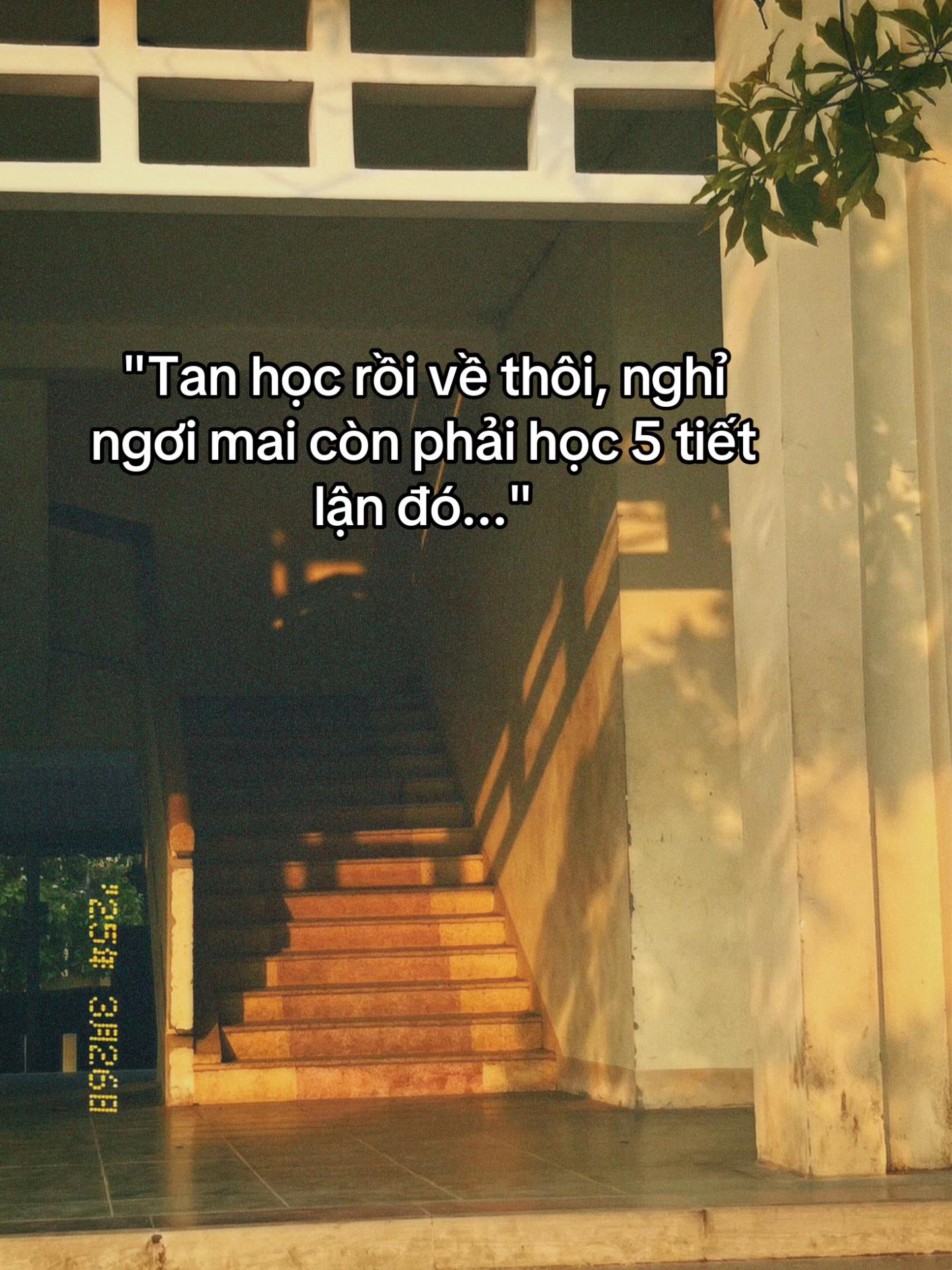 @๐ด๐ ๐ซ๐๐๐๐ ๐ค