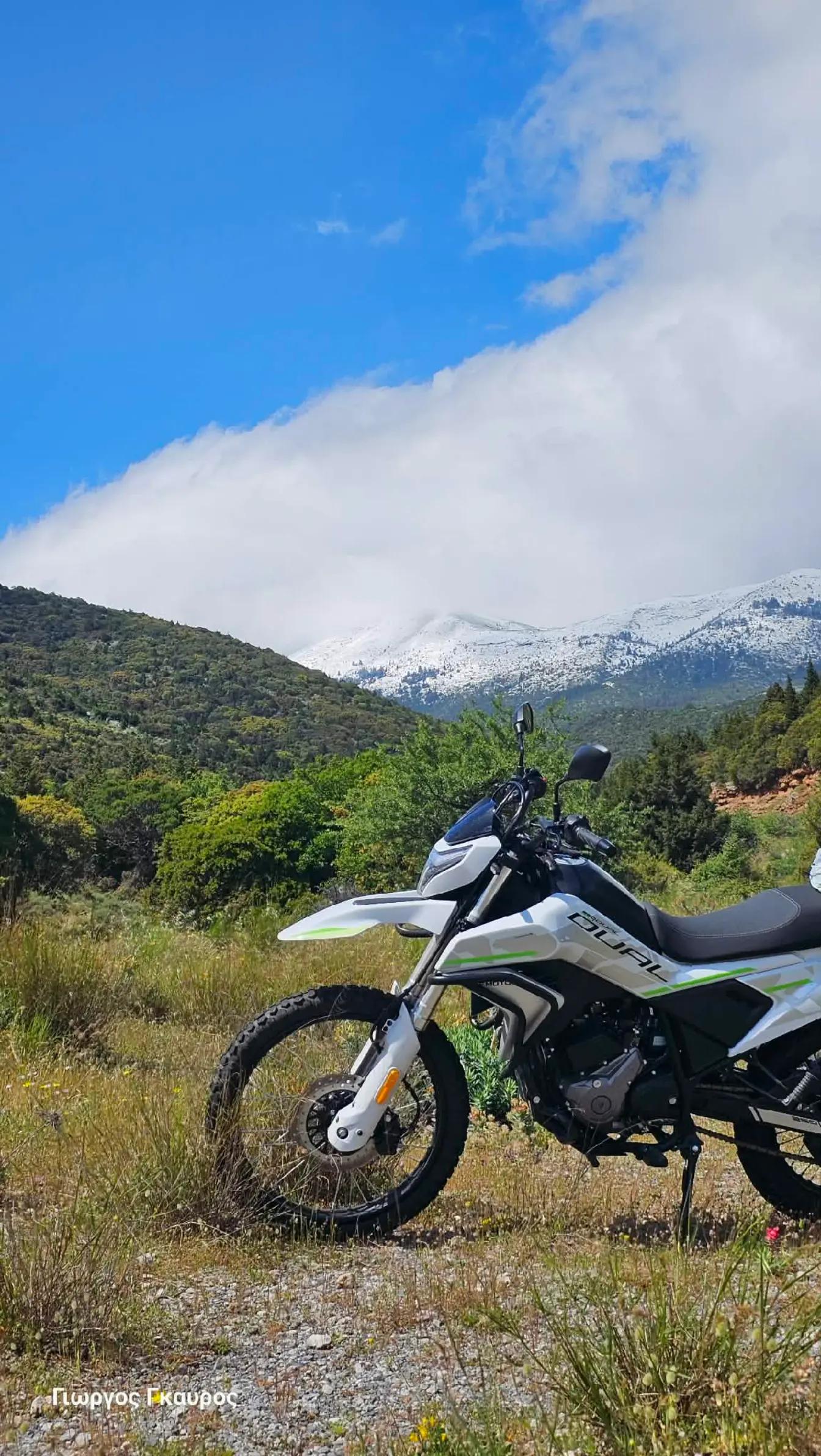 @@motopetsasofficial