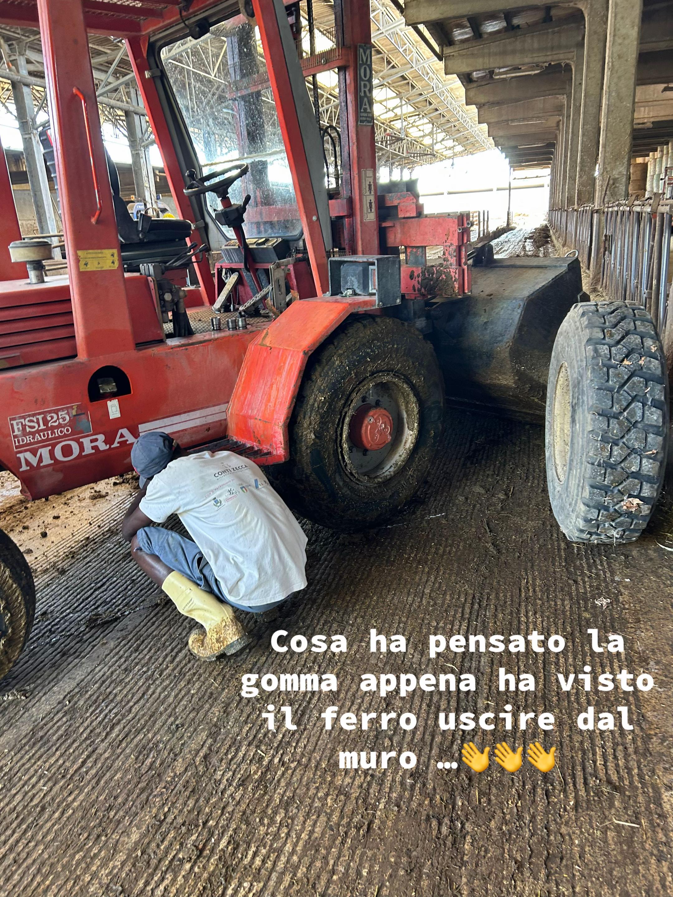 @Mirko Farmer