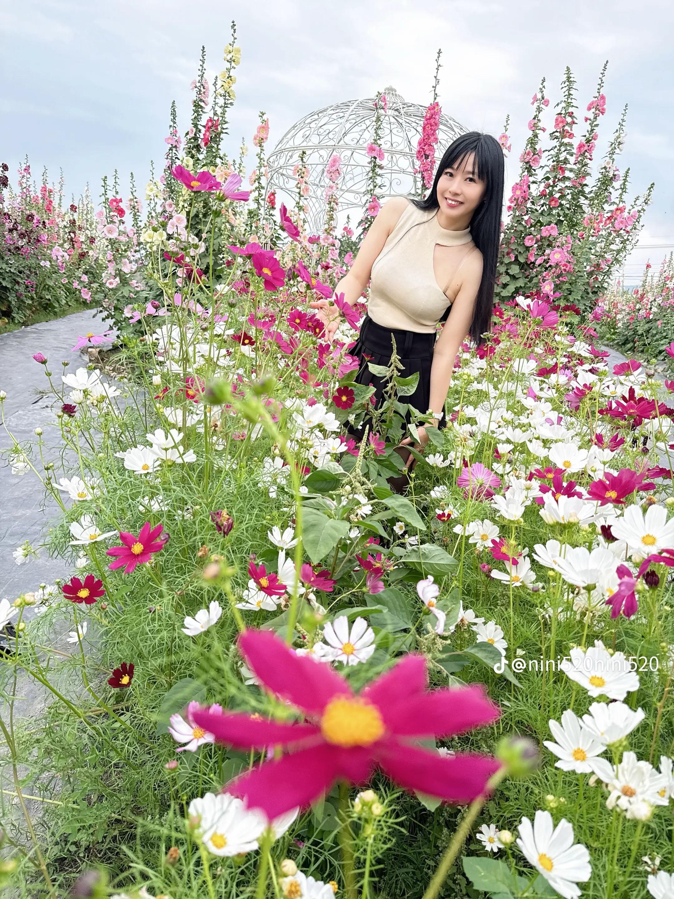 @user31526653325470
