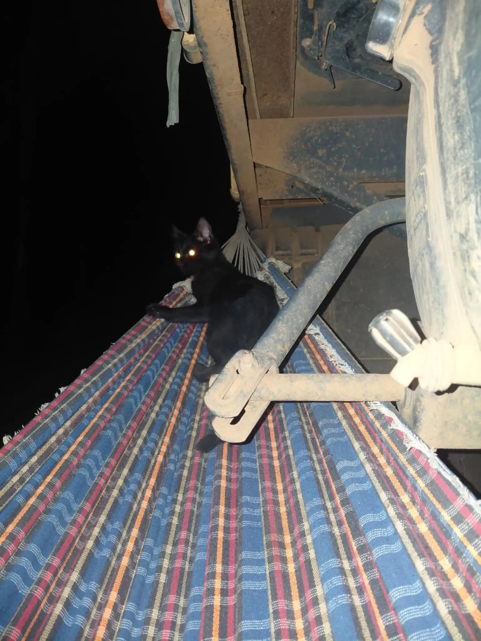 @Epic Funny Animals