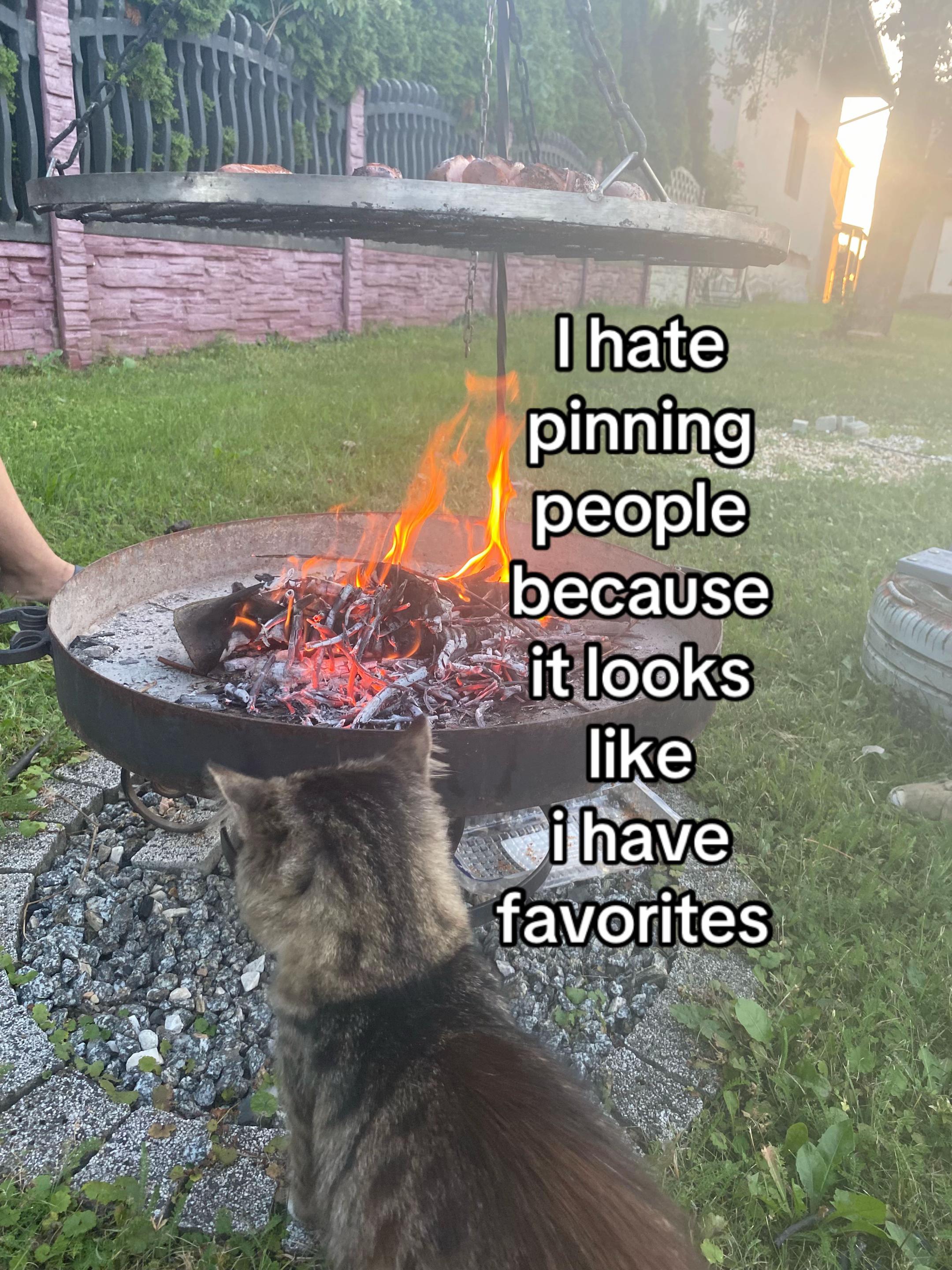 @𝑉𝑖𝑘𝑠𝑎🤍🪽