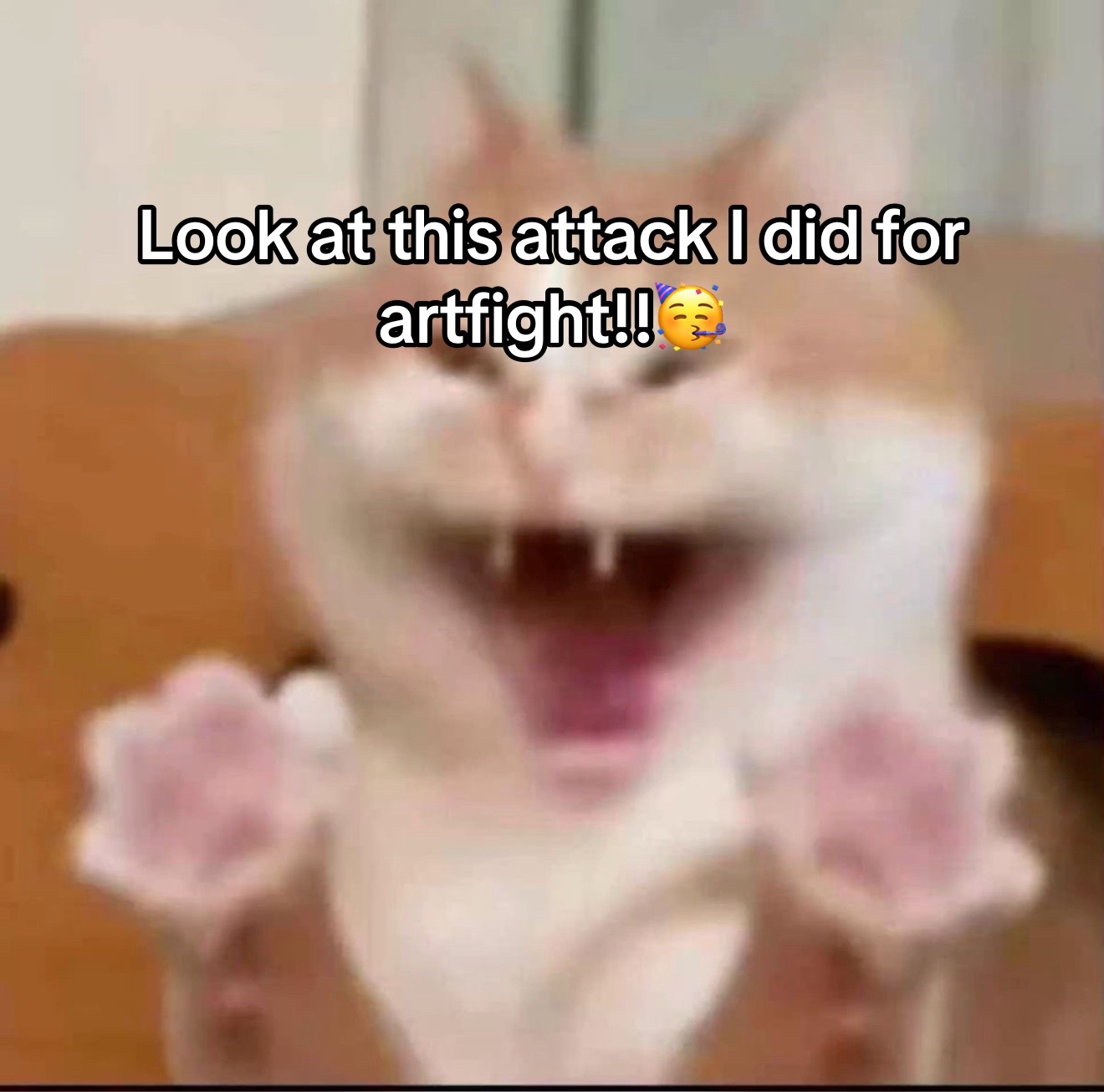 @Bear Bear