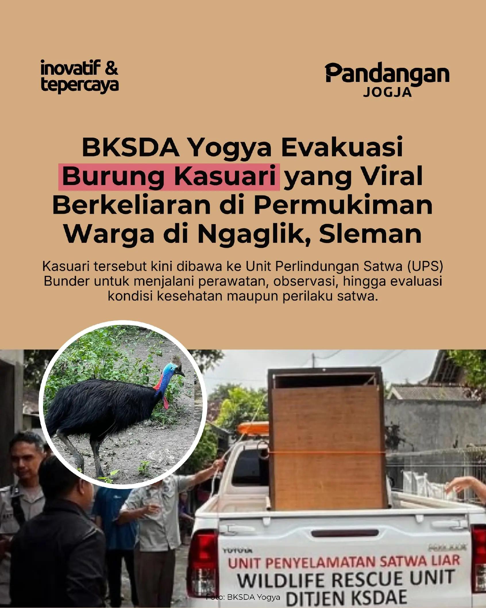 @Pandangan Jogja